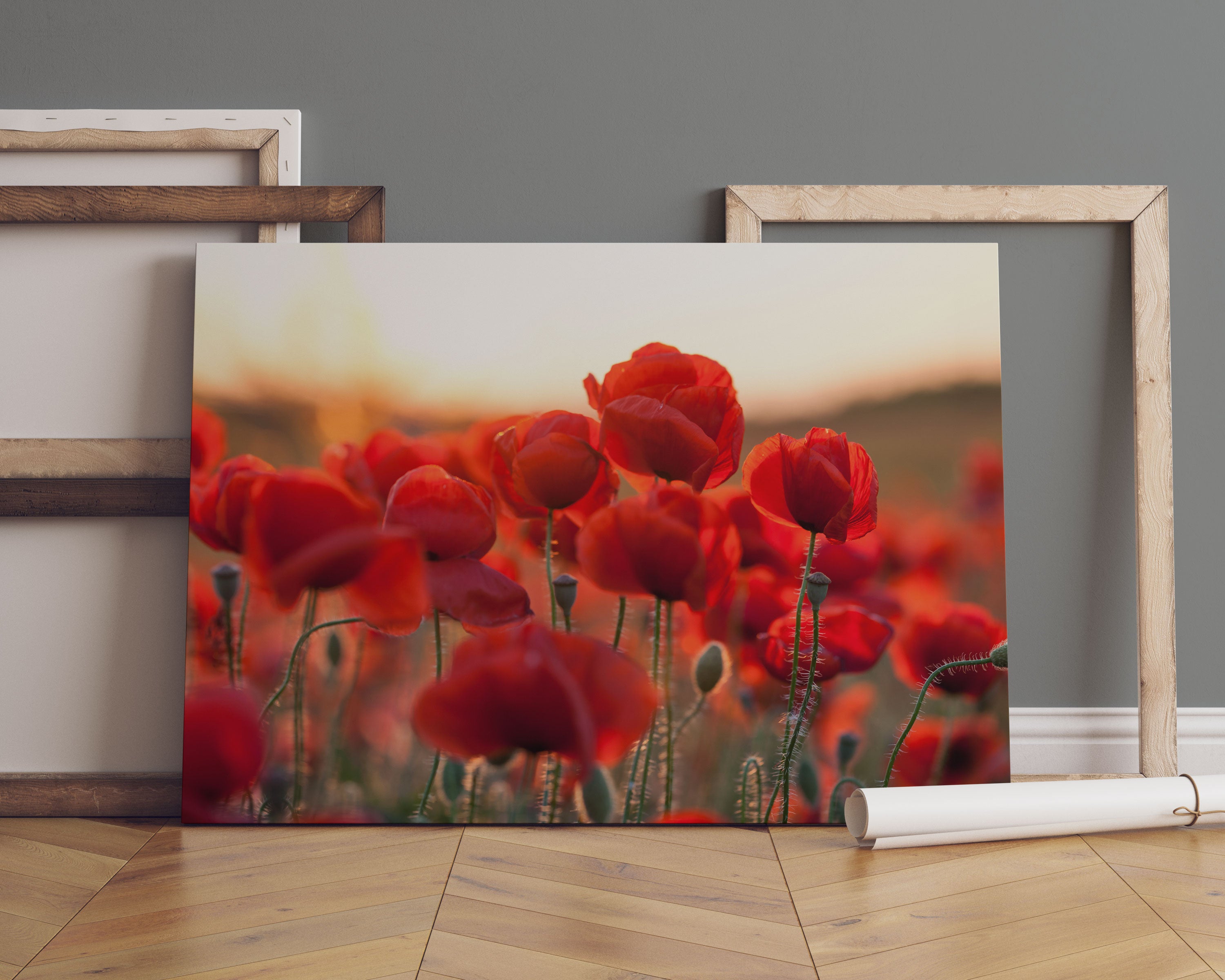 Feuriger Mohn Leinwandbild Sofa