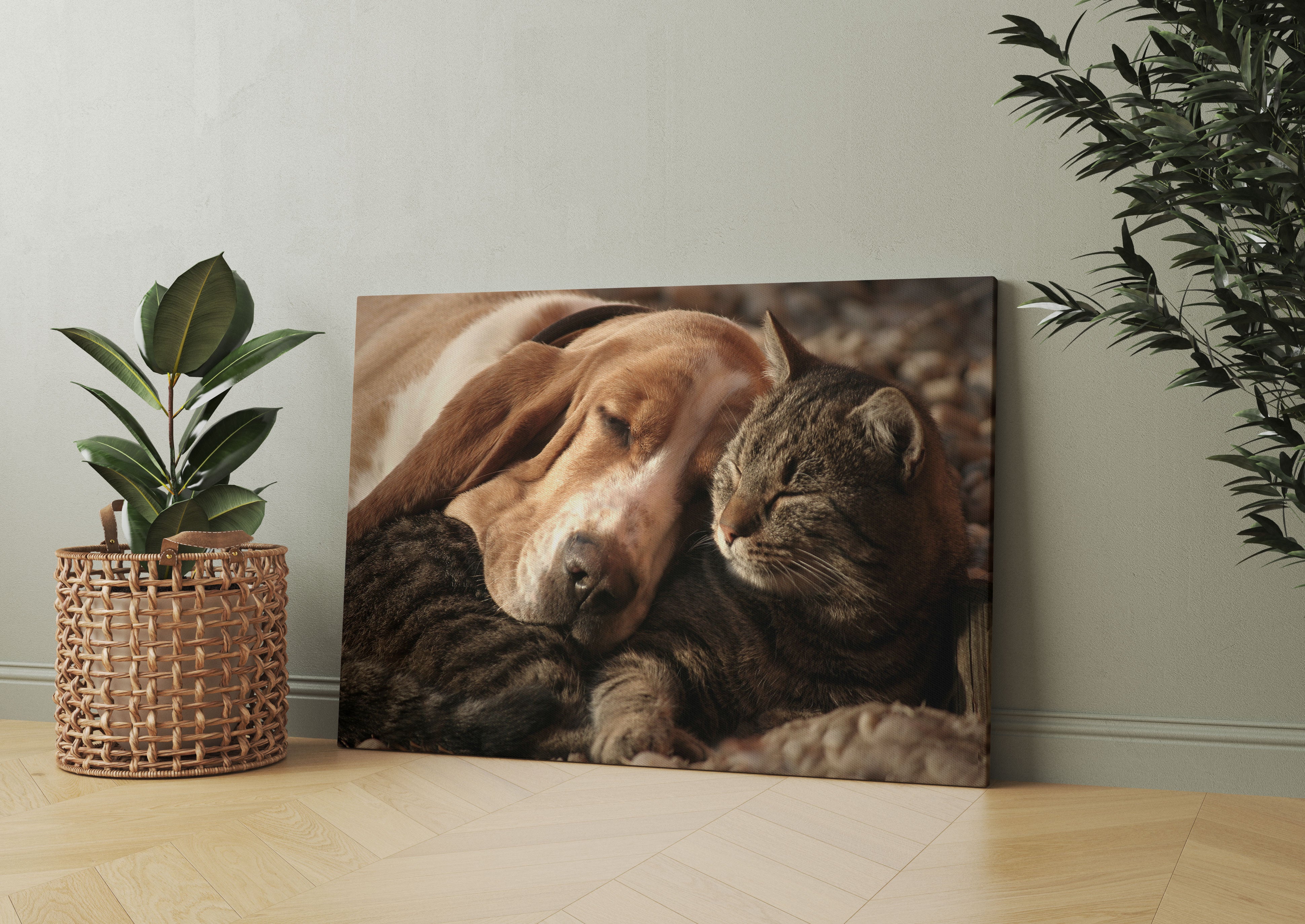 Katze und Hund kuschelnd Leinwandbild Wohnzimmer