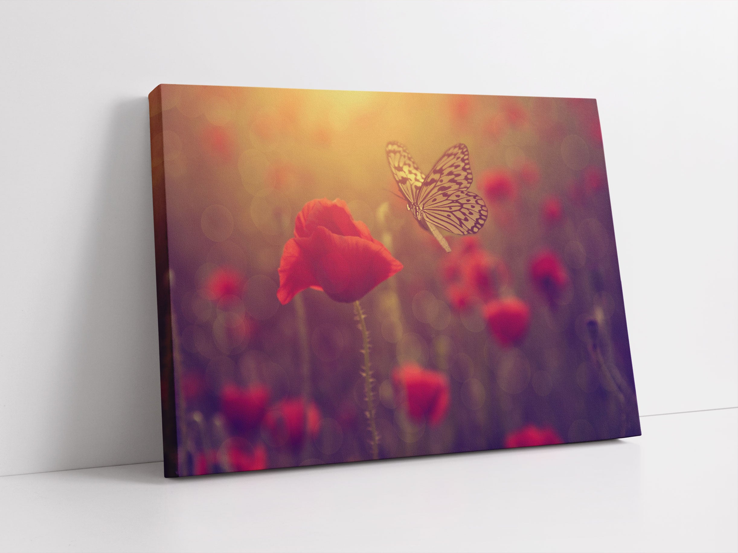 Mohn und Schmetterling Leinwandbild Studio