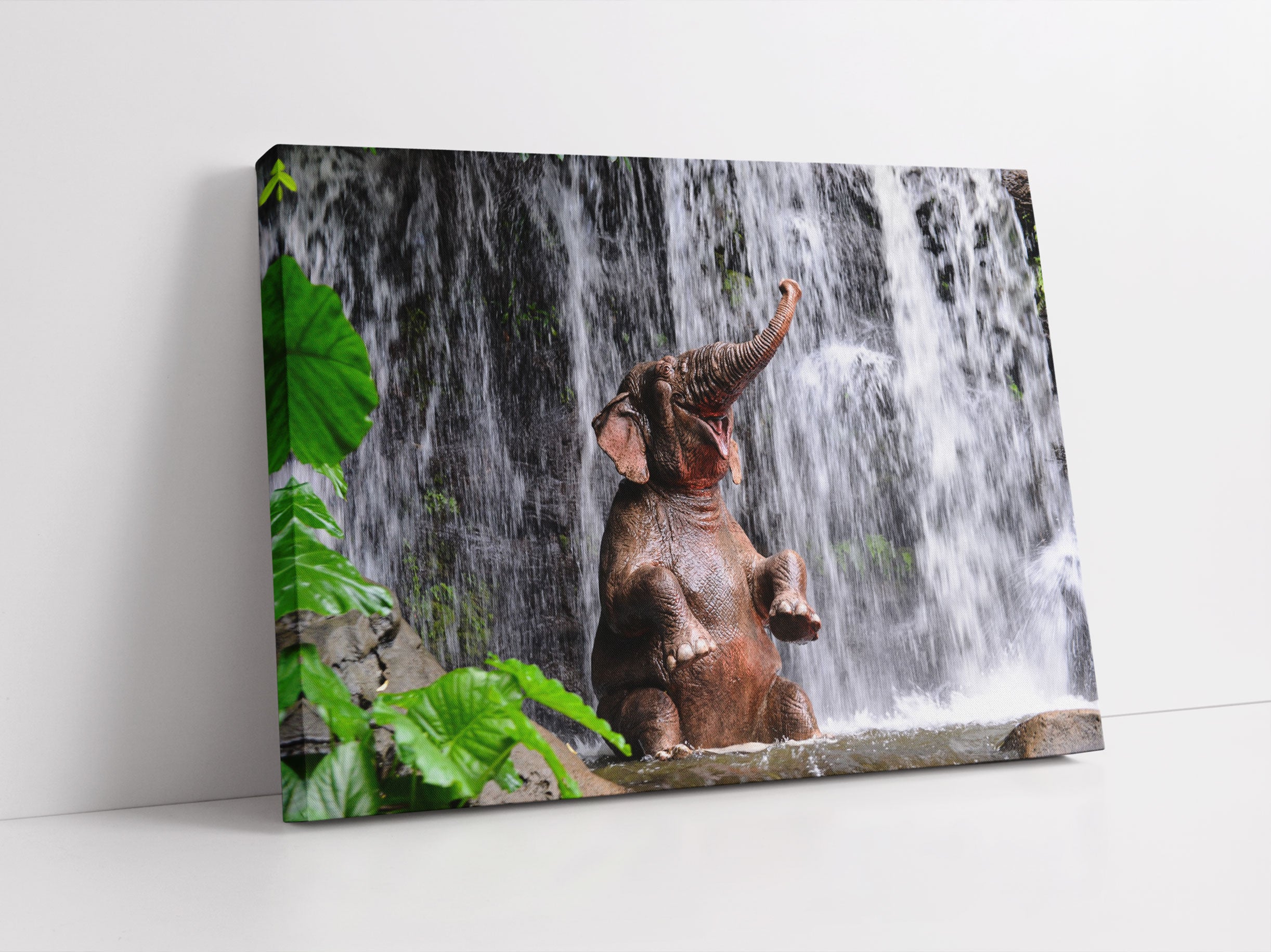 Babyelefant am Wasserfall Leinwandbild Studio