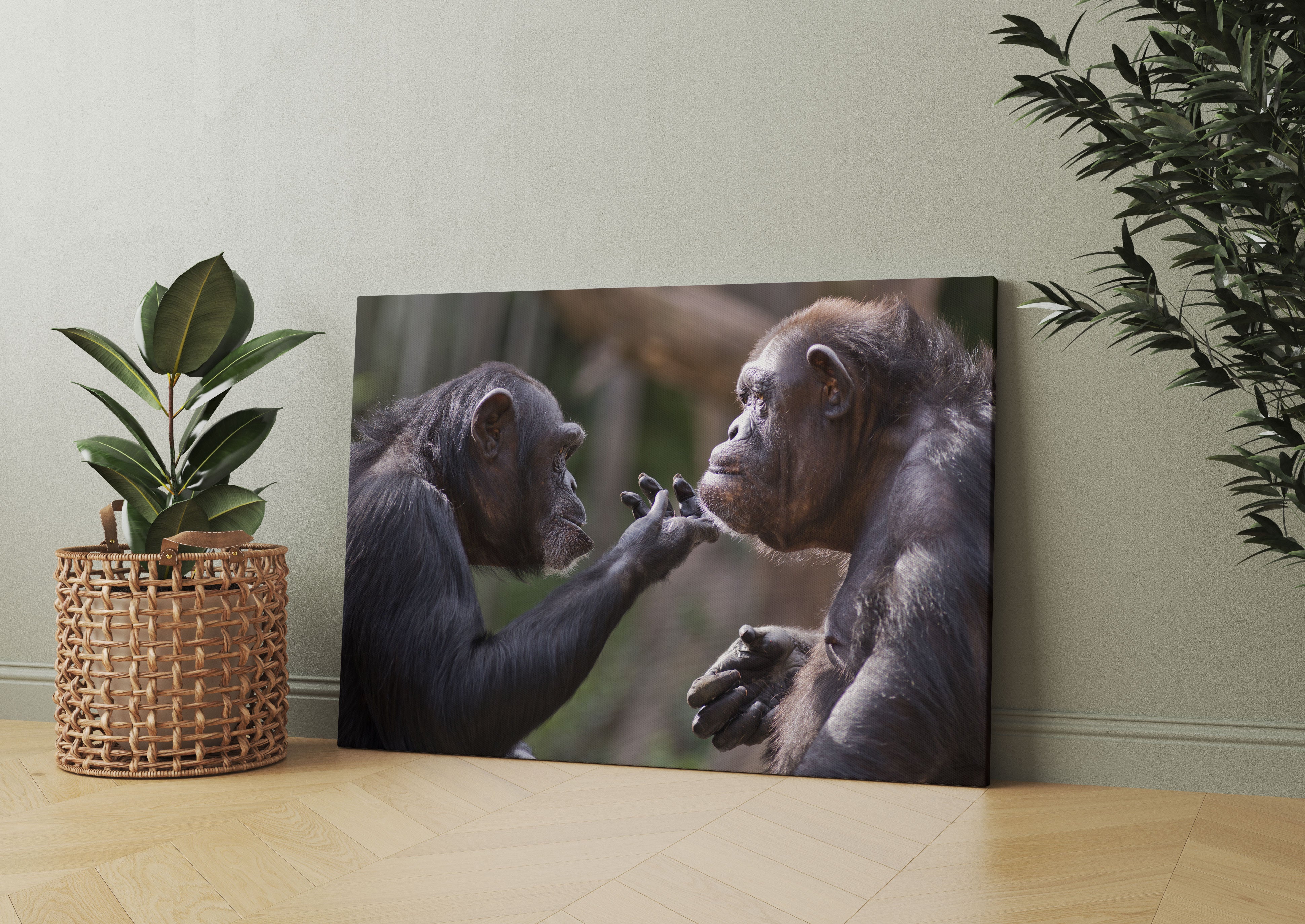 Schimpansen Freundschaft Leinwandbild Wohnzimmer