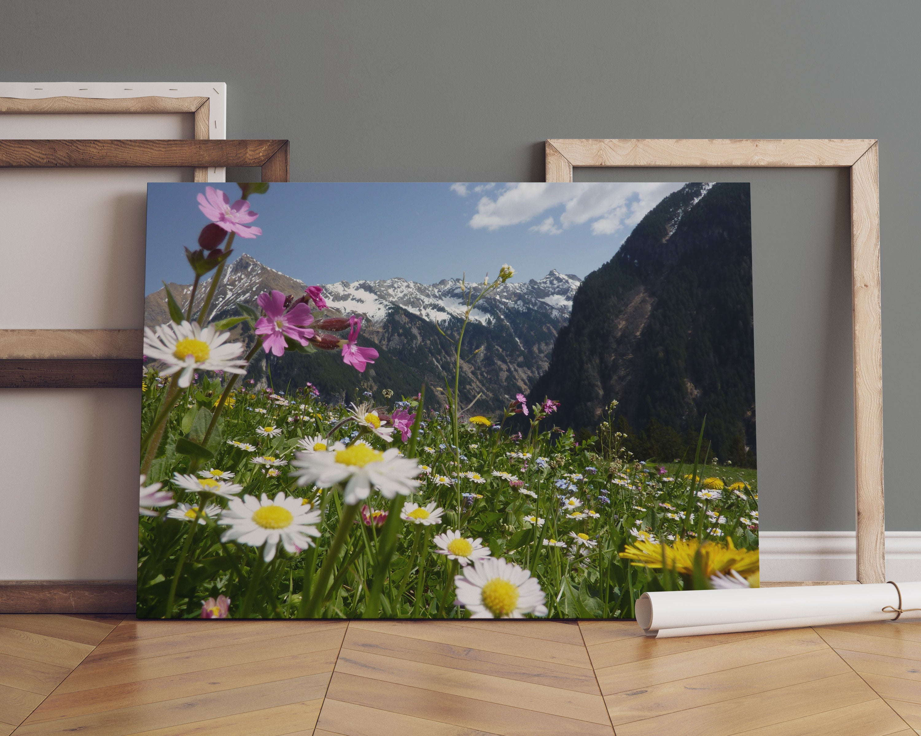 Wunderschöne Blumen Alpenwiese Leinwandbild Sofa