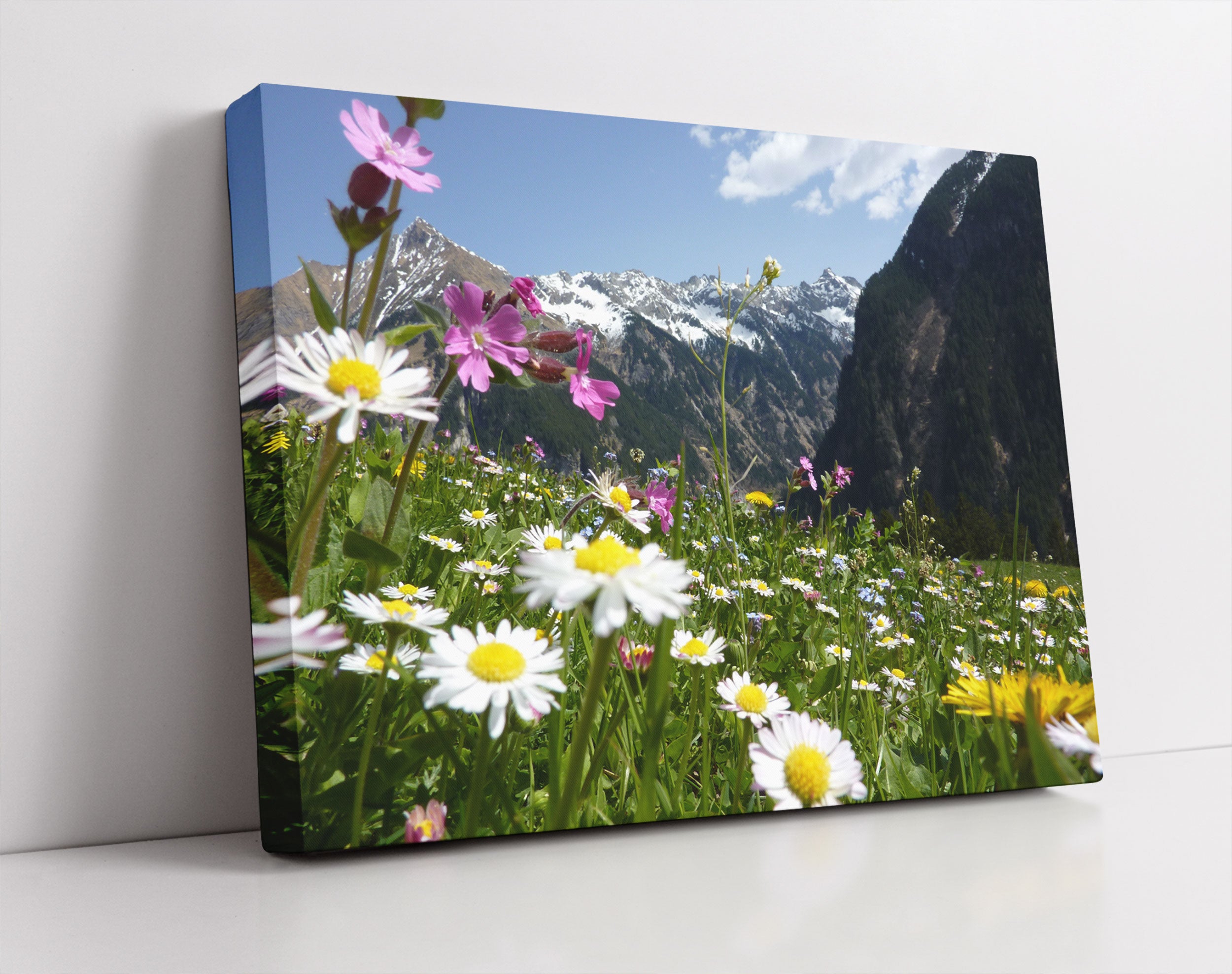 Wunderschöne Blumen Alpenwiese - Leinwandbild