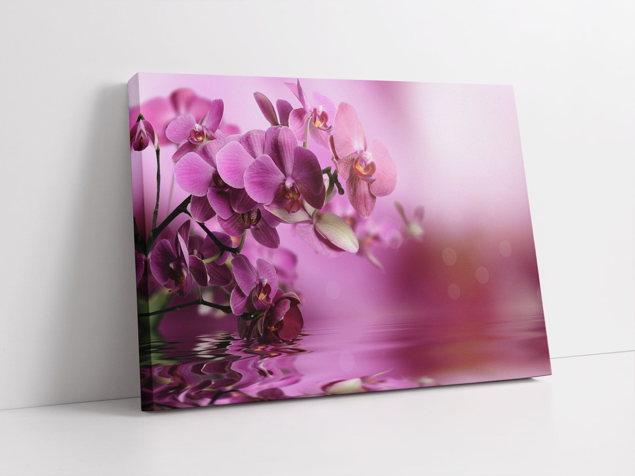 Wunderschöne Orchideenblüten Leinwandbild Studio