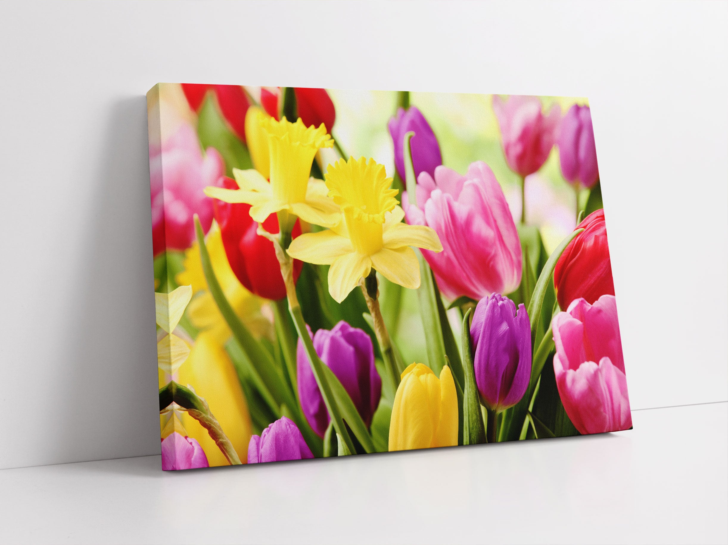 Osterglocken und Tulpen Leinwandbild Studio