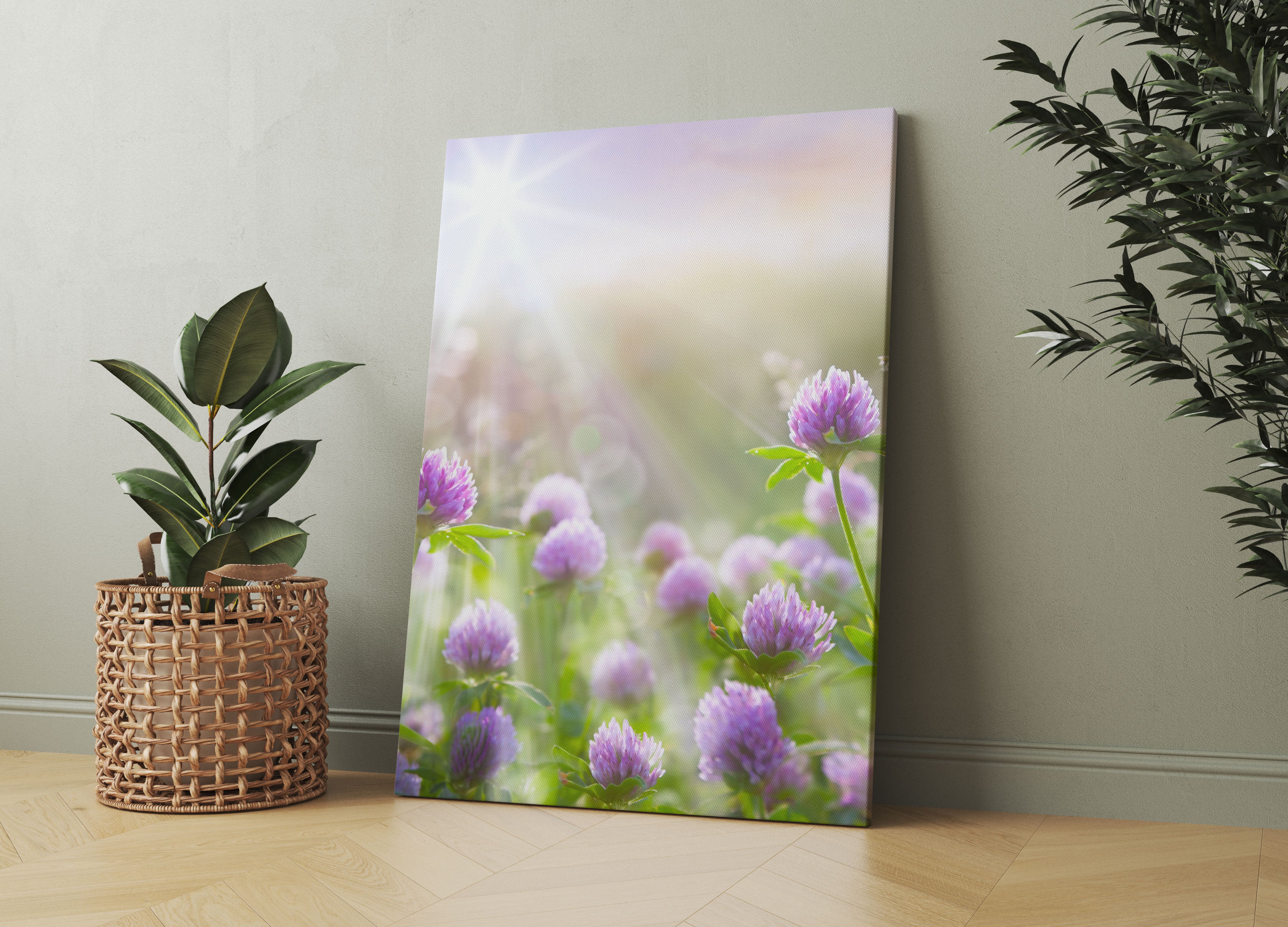 Kleeblüten im Sonnenschein Leinwandbild Wohnzimmer