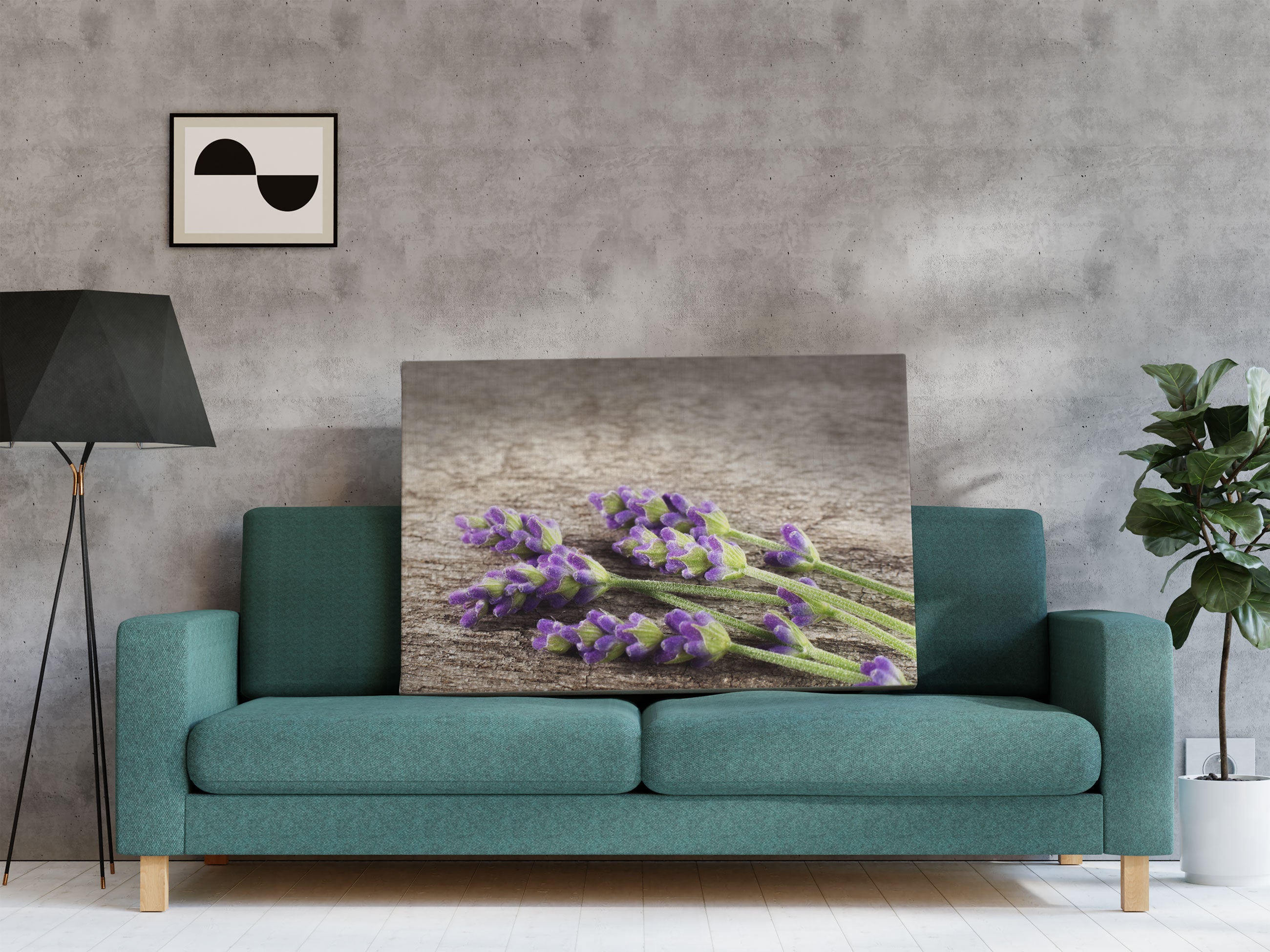 Liegender frischer Lavendel Leinwandbild Regal