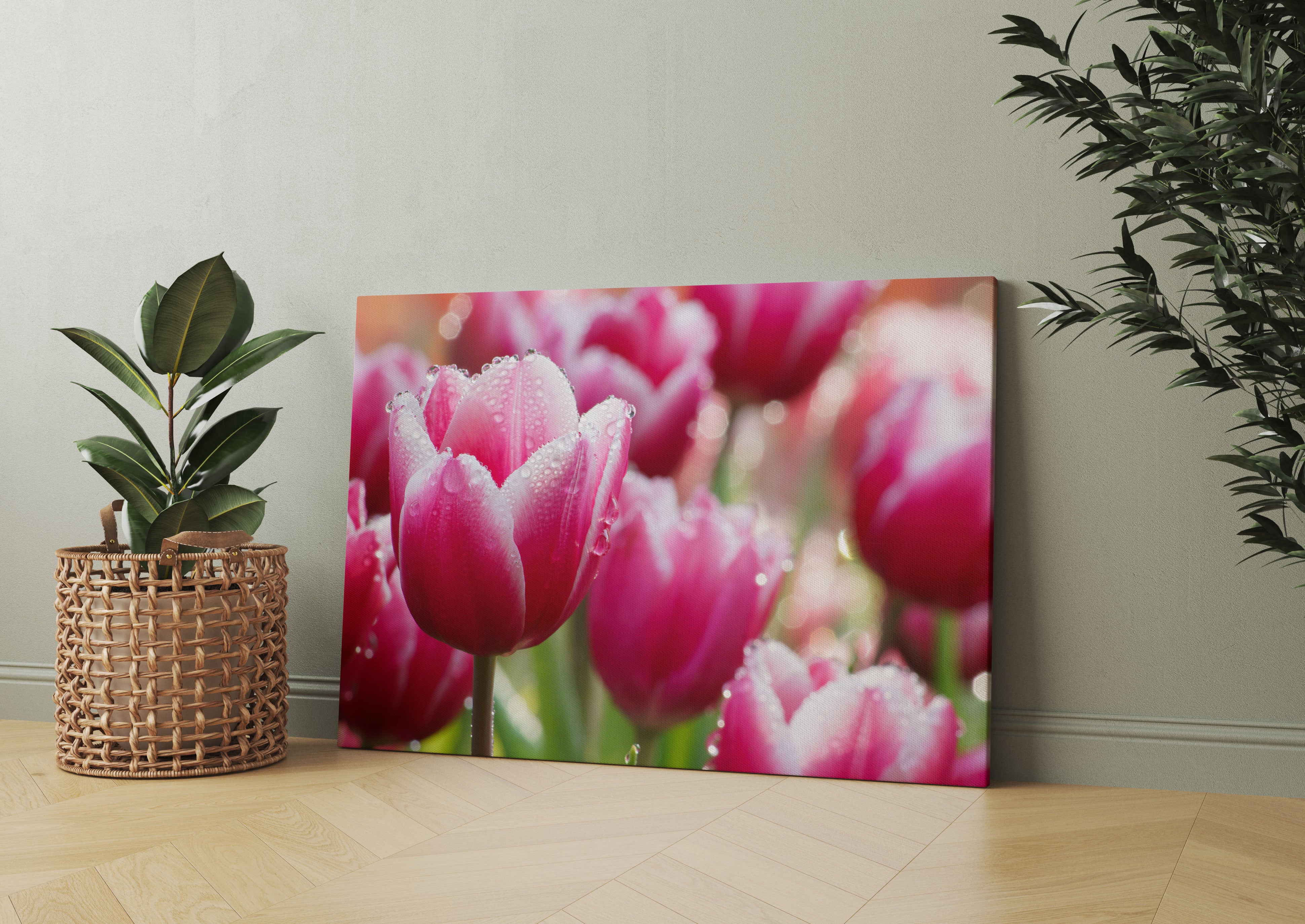 Tulpen mit Morgentau Leinwandbild Wohnzimmer