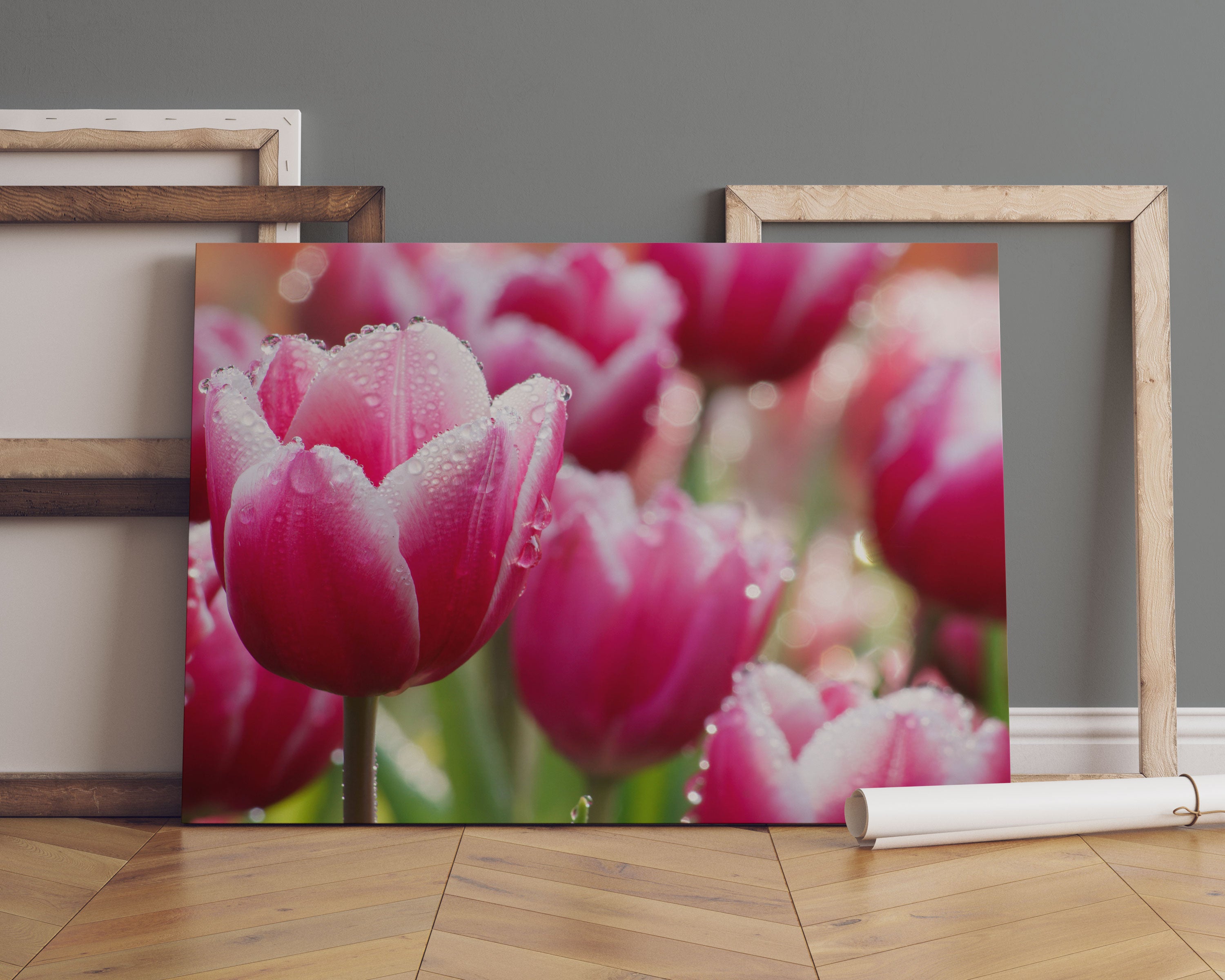 Tulpen mit Morgentau Leinwandbild Sofa