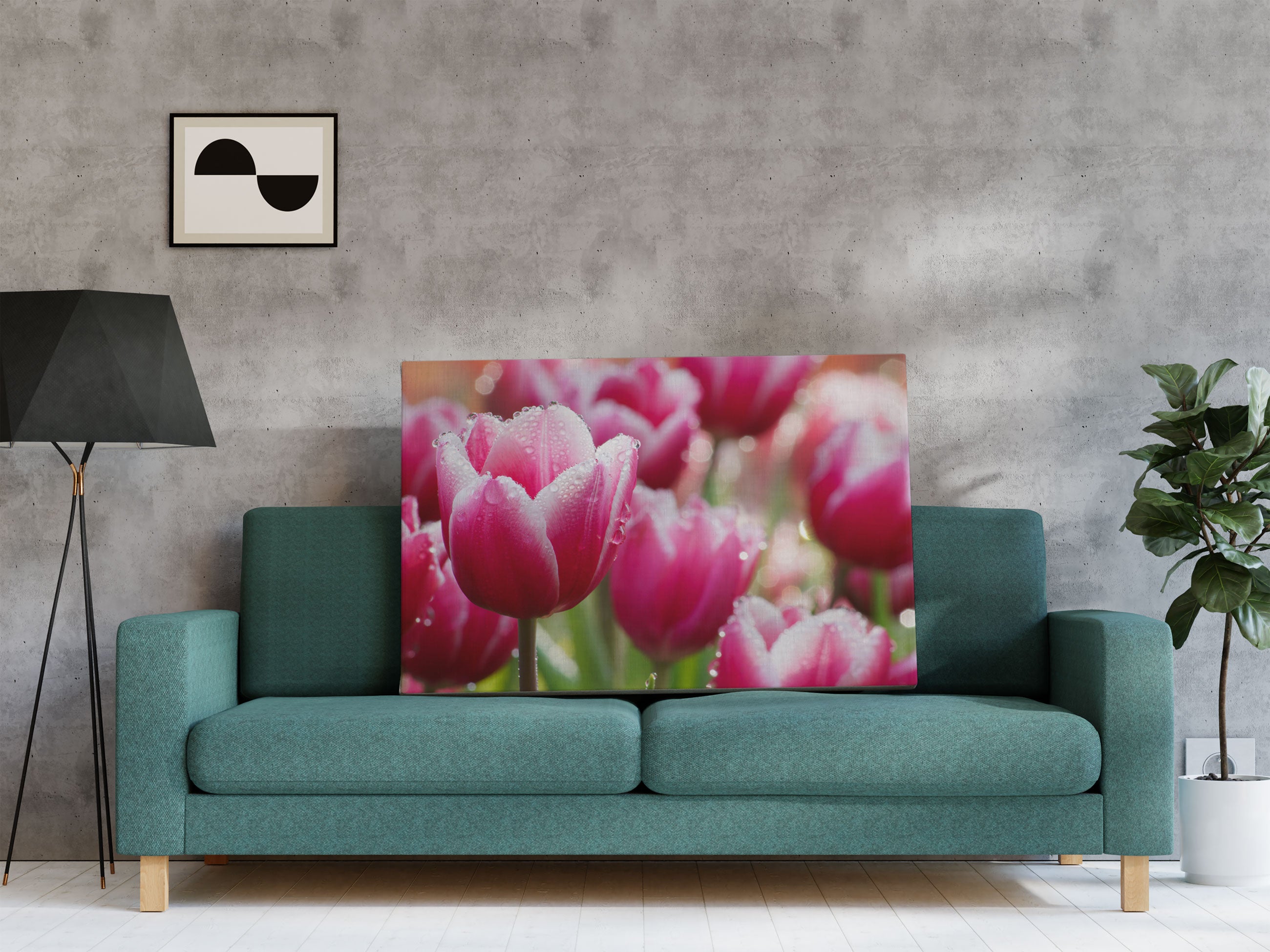 Tulpen mit Morgentau Leinwandbild Regal