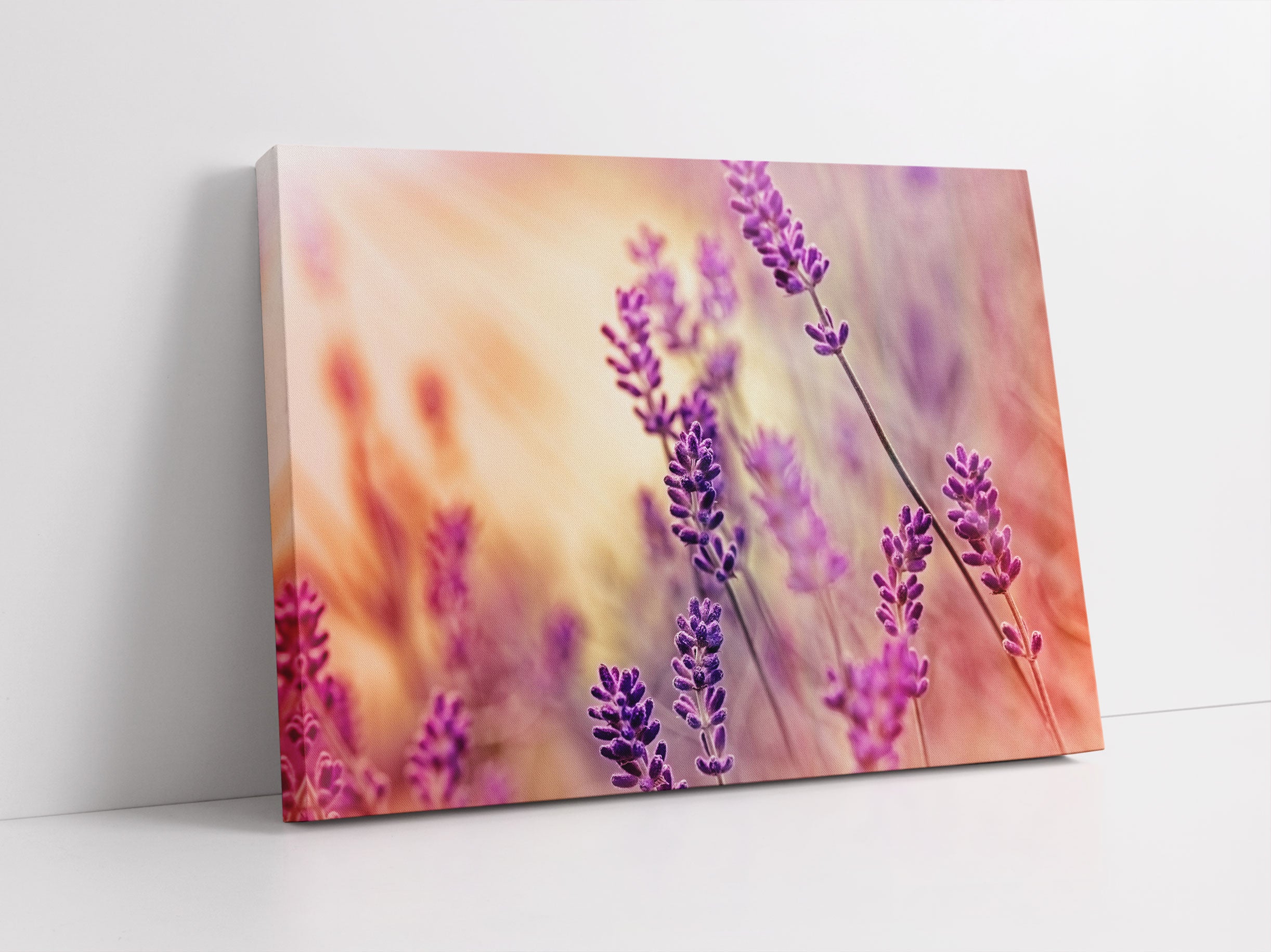 Eleganter Lavendel Leinwandbild Studio