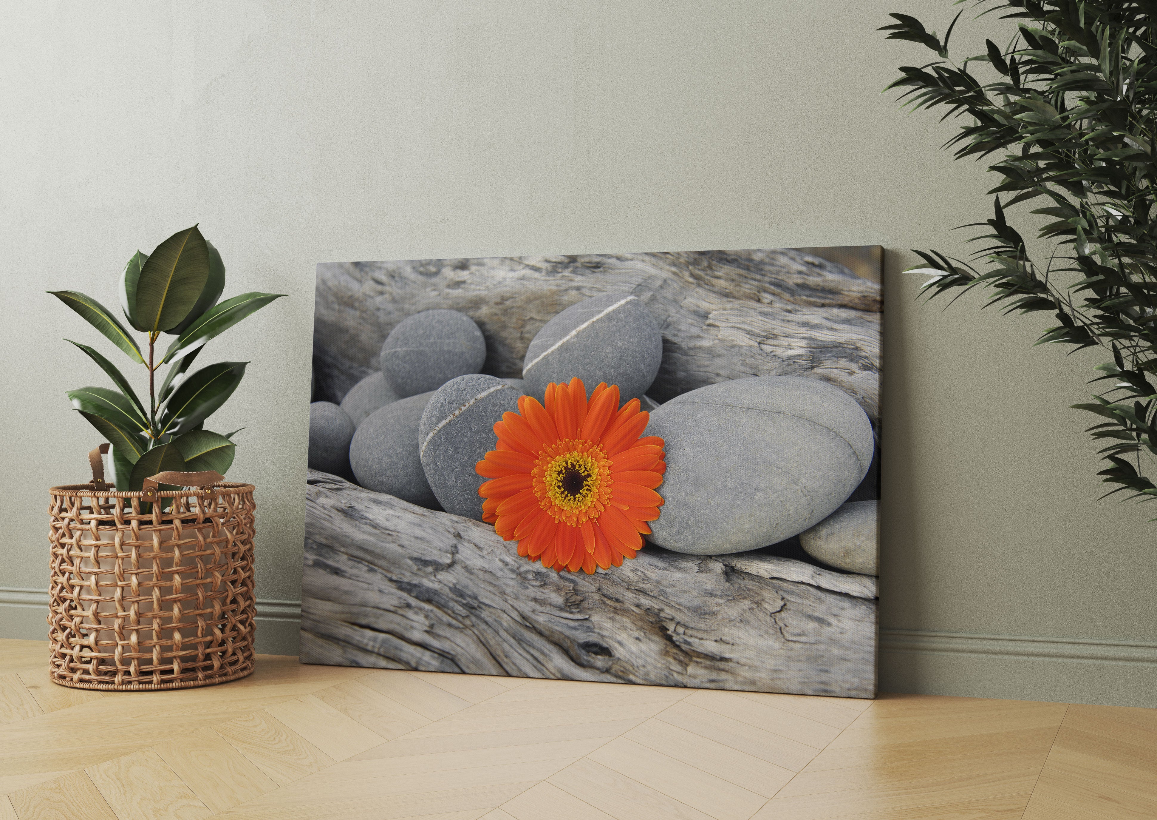 Gerbera zwischen Zen Steinen Leinwandbild Wohnzimmer