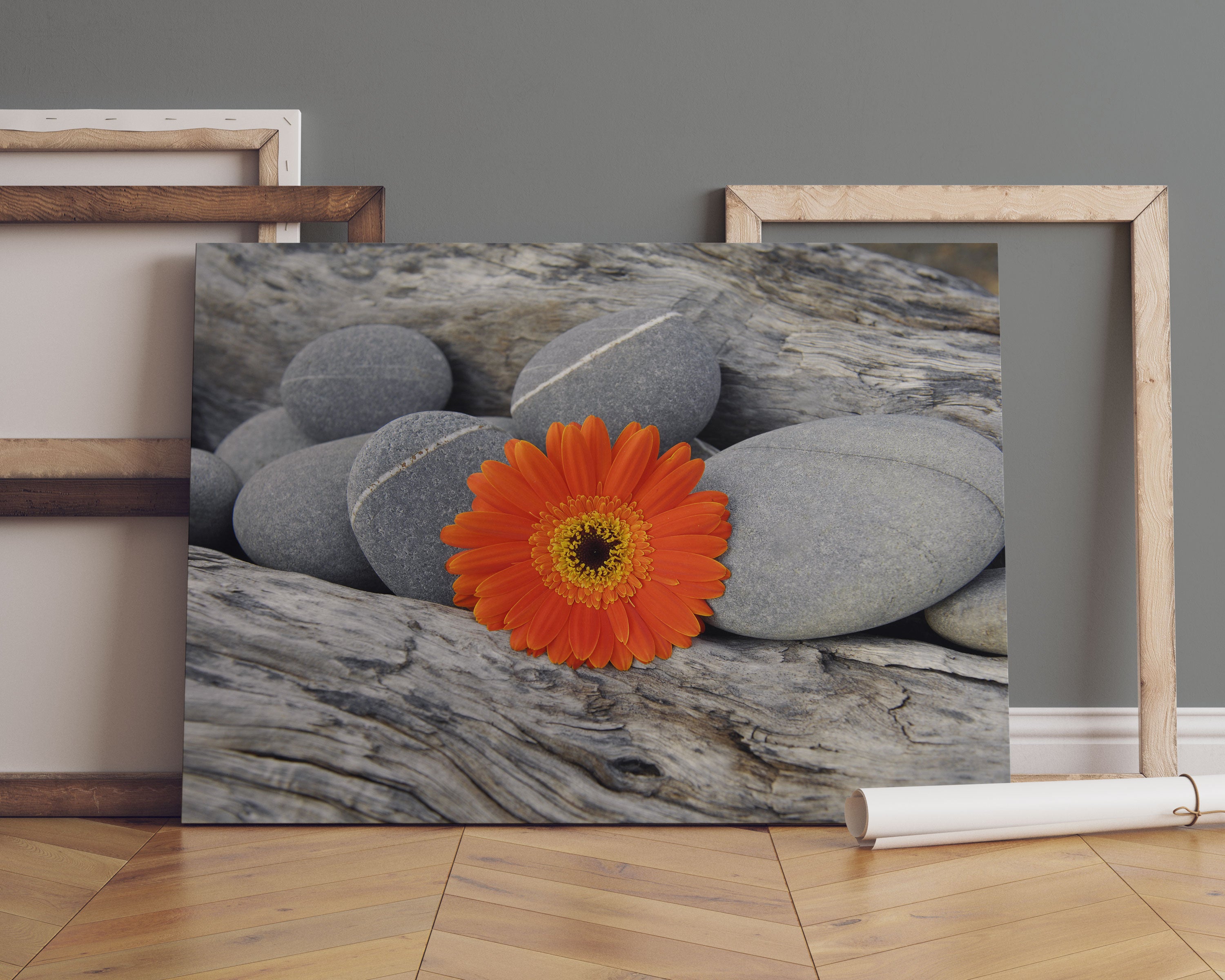 Gerbera zwischen Zen Steinen Leinwandbild Sofa