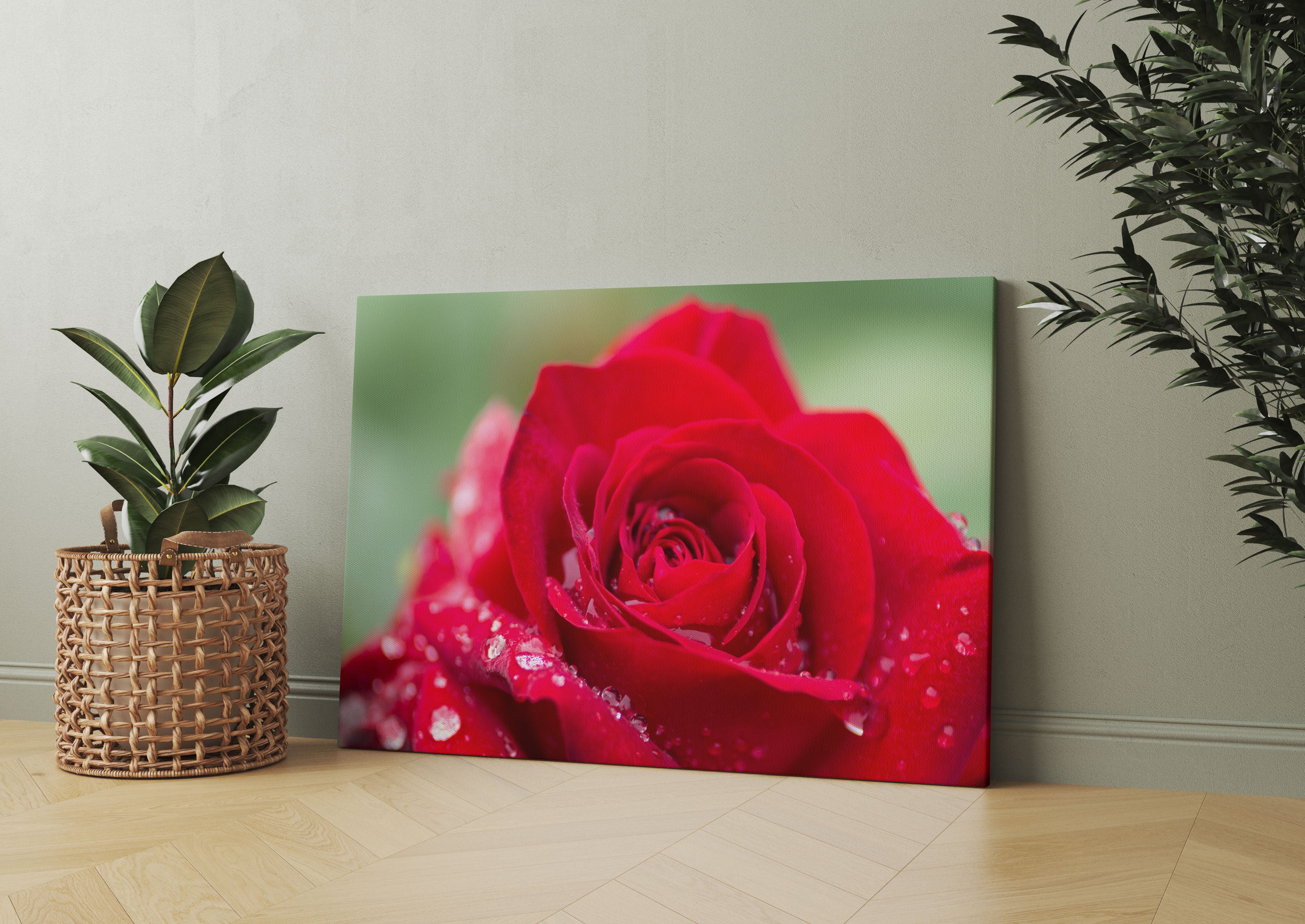 Rose mit Wassertropfen Leinwandbild Wohnzimmer