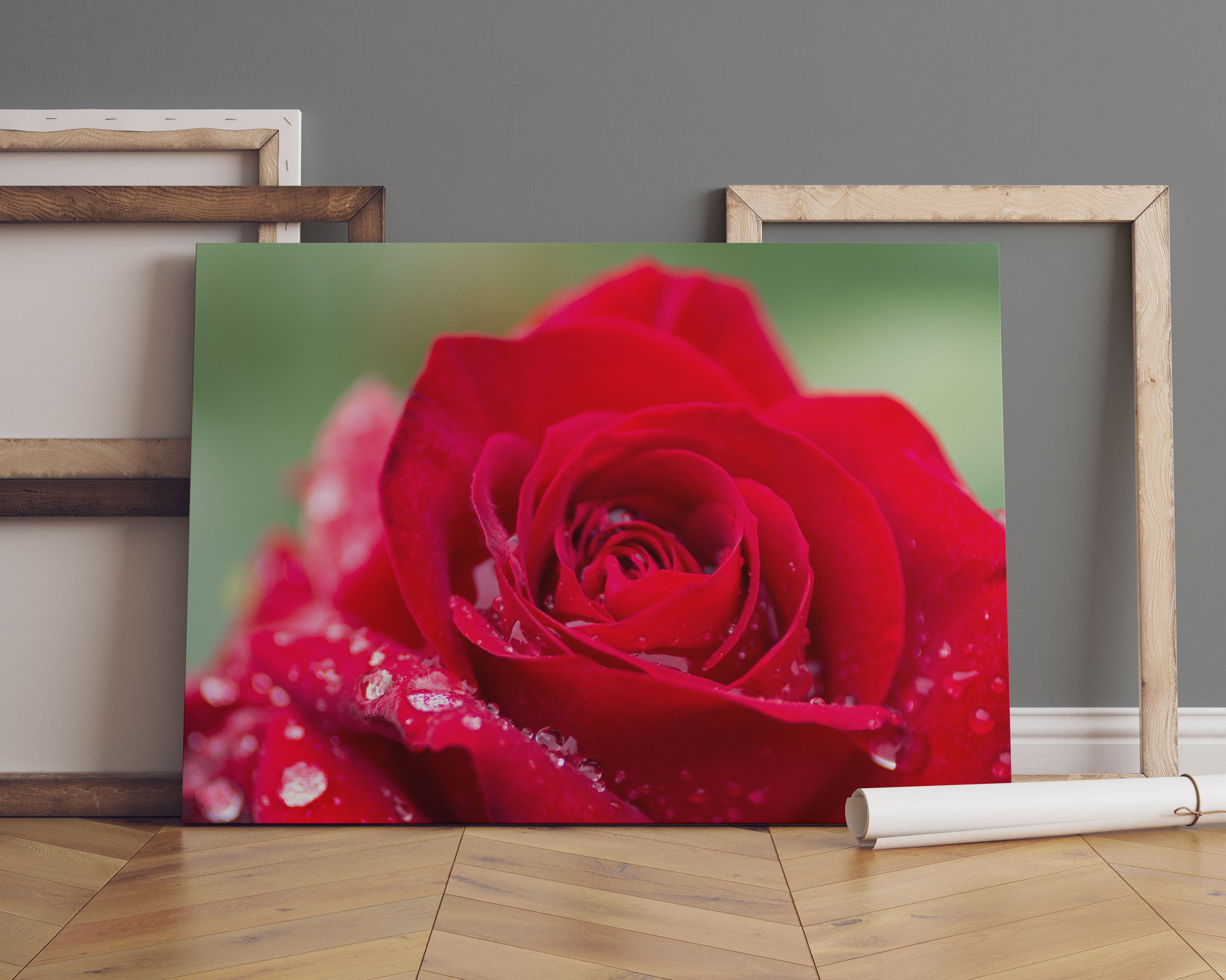 Rose mit Wassertropfen Leinwandbild Sofa