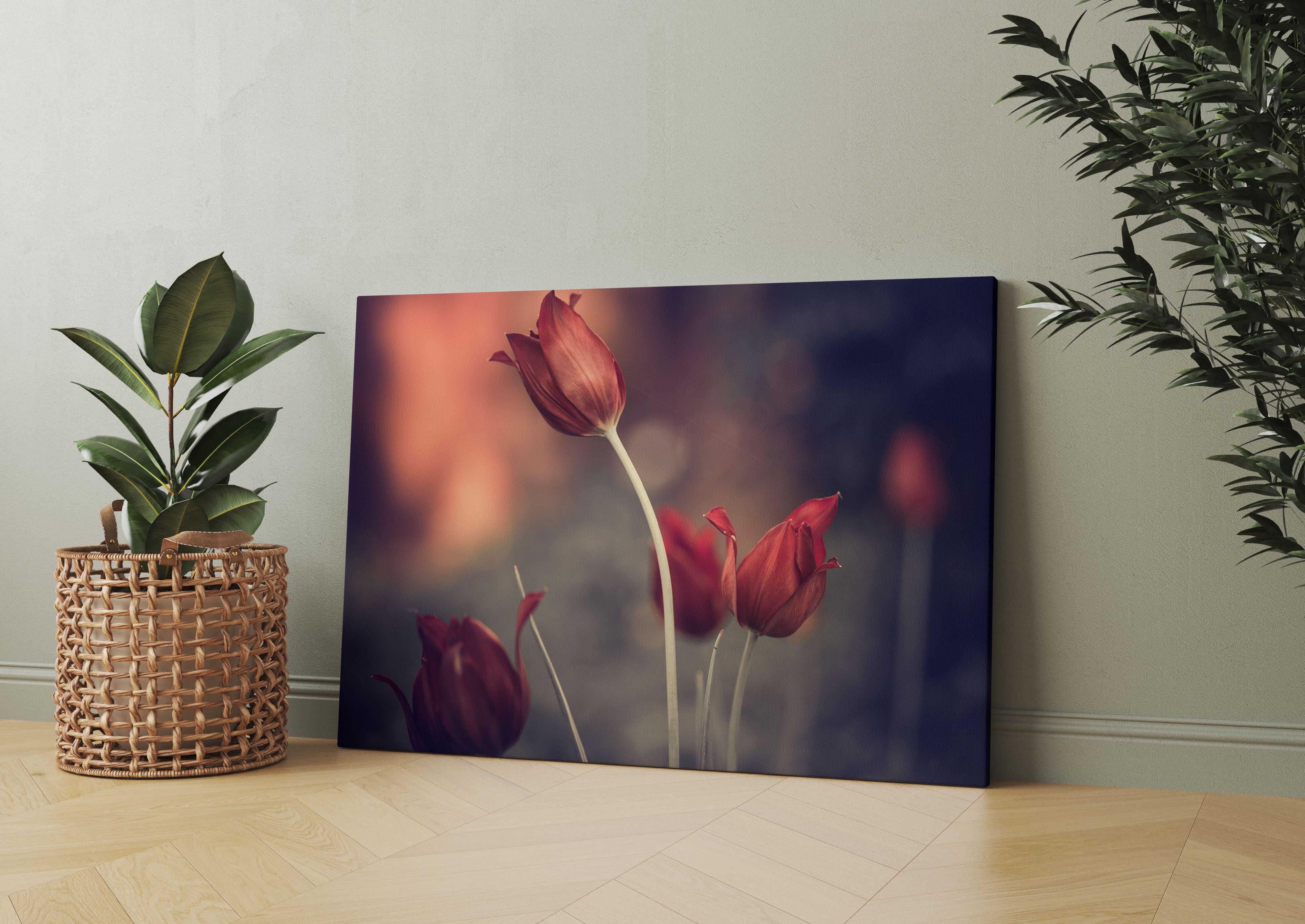 Tulpen im Abendlicht Leinwandbild Wohnzimmer