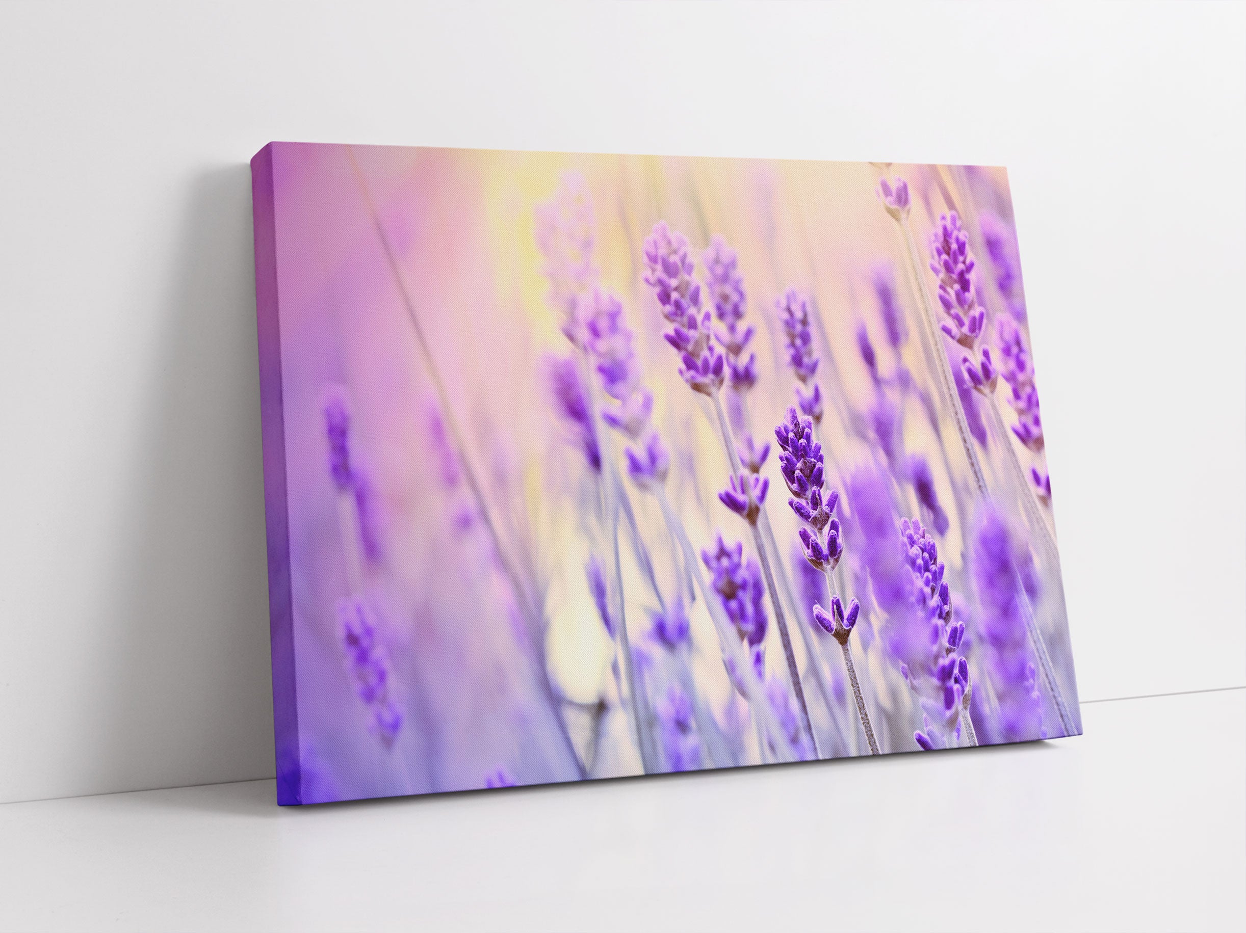 Lavendel im Retro Look Leinwandbild Studio