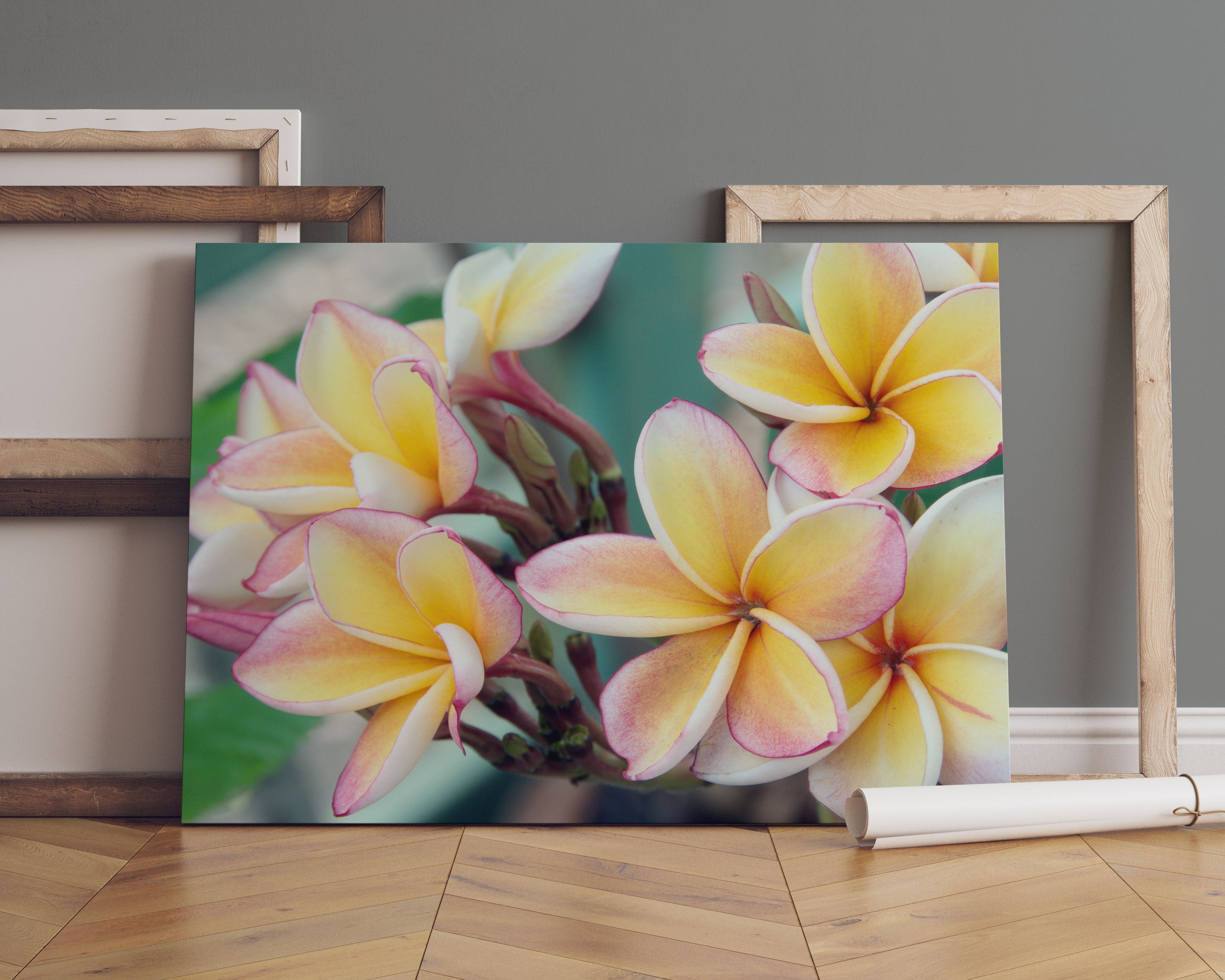 Monoi Blüten auf Hawaii Leinwandbild Sofa