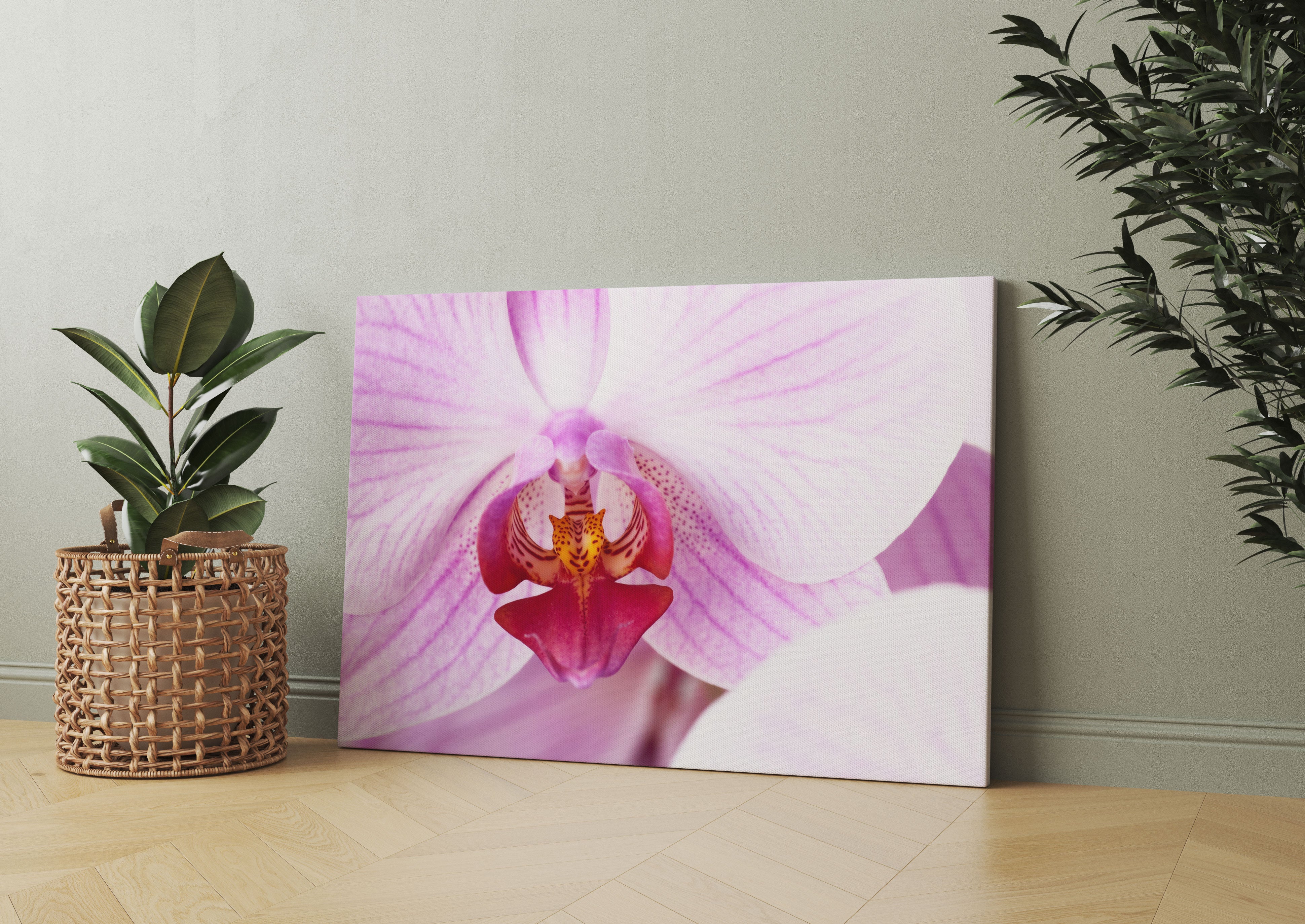 Prächtige Rosa Orchidee Leinwandbild Wohnzimmer