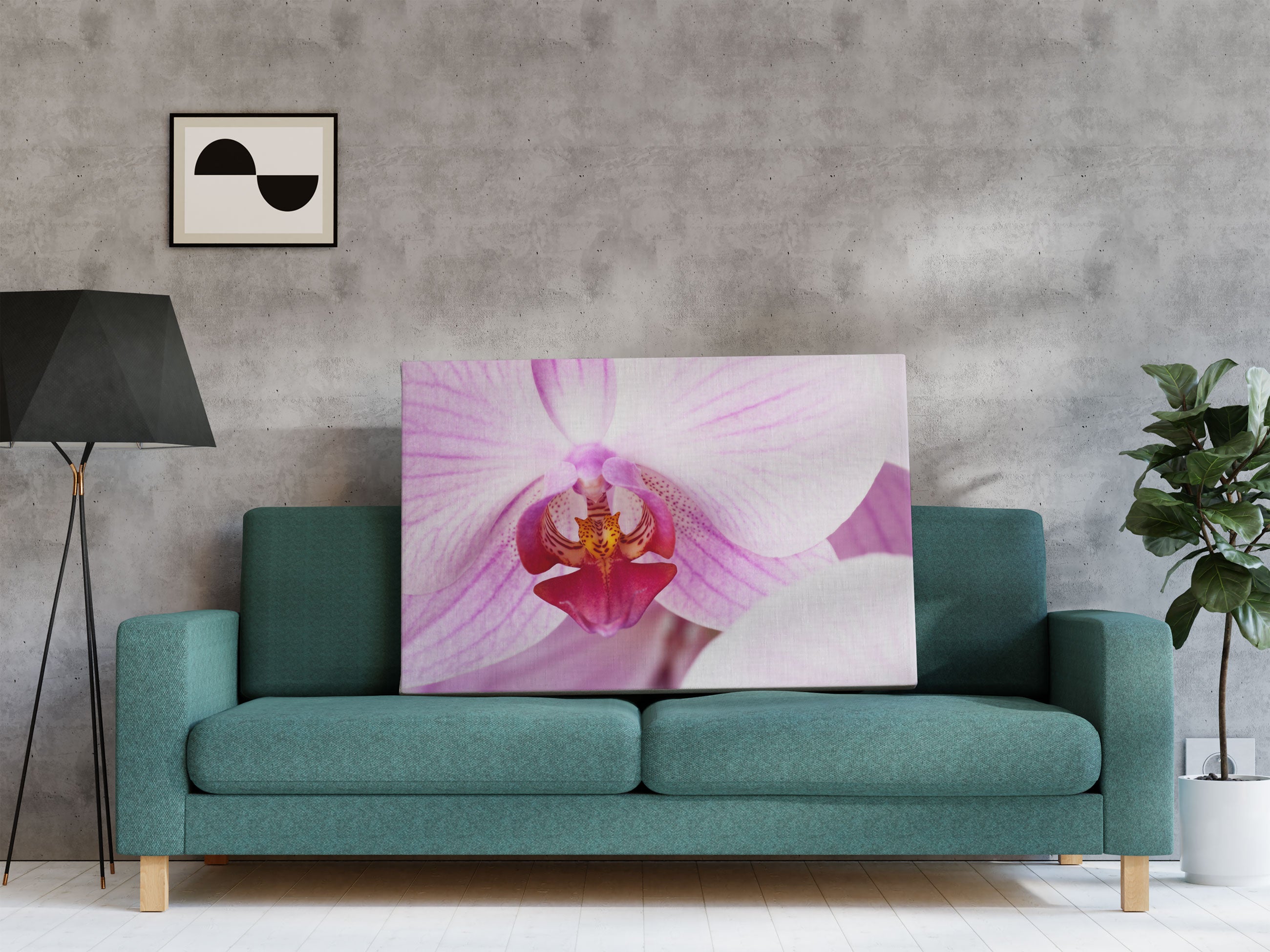 Prächtige Rosa Orchidee Leinwandbild Regal