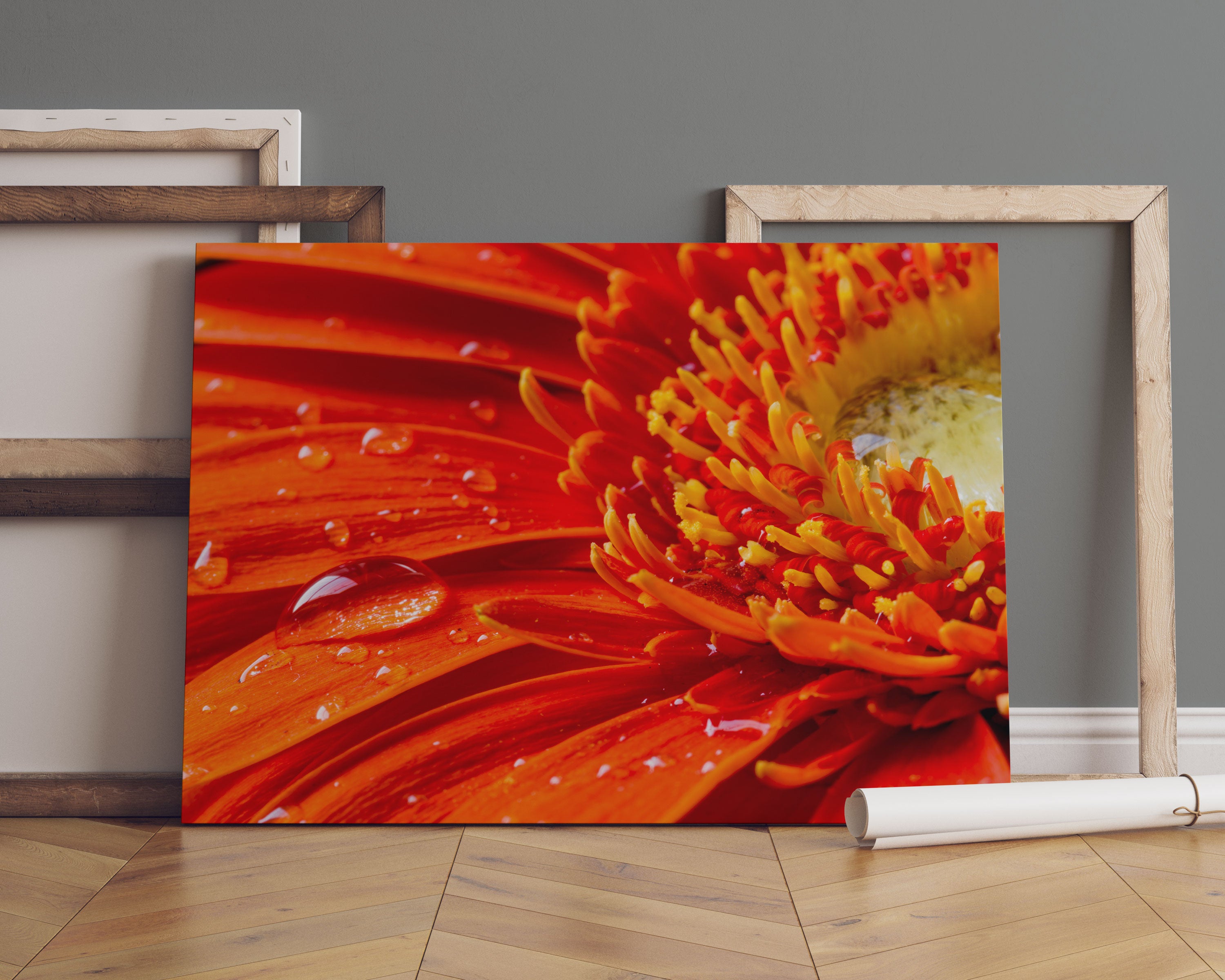 Gerbera mit Wassertropfen Leinwandbild Sofa