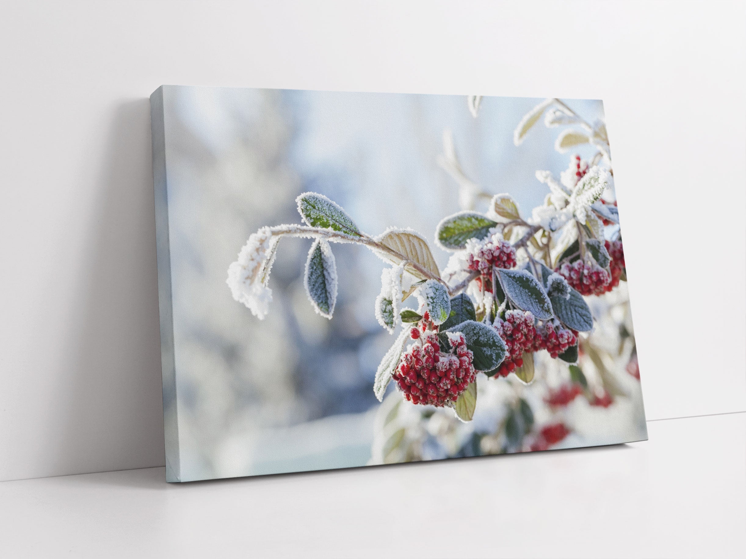 Vogelbeeren im Winter Leinwandbild Studio