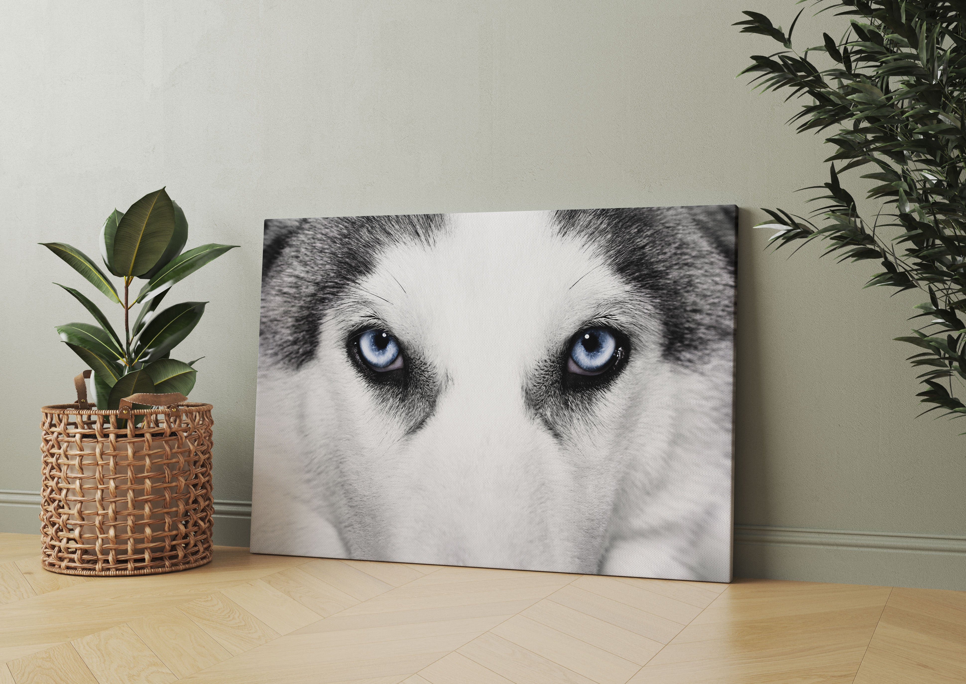 Husky mit Eisblauen Augen Leinwandbild Wohnzimmer