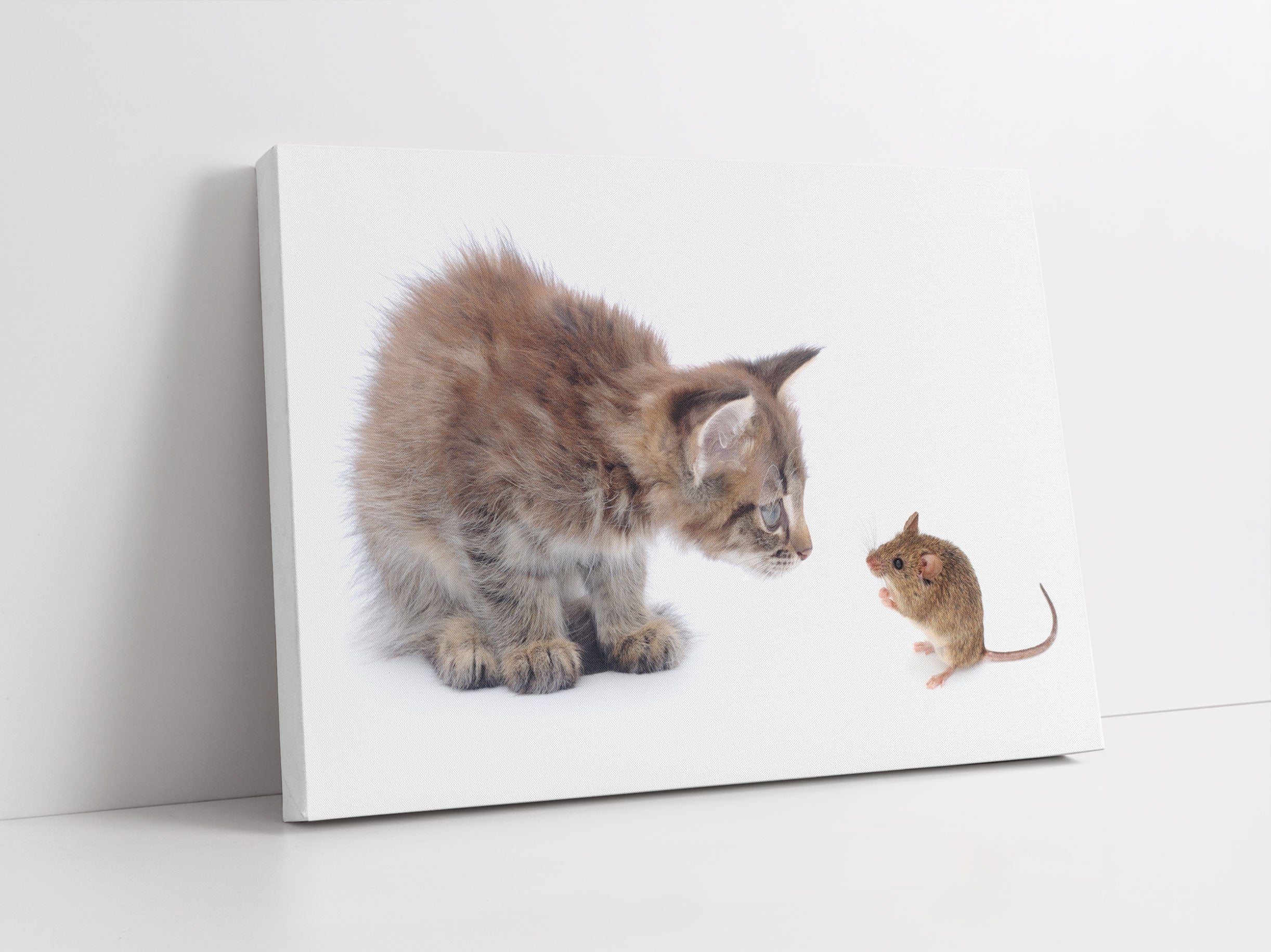 Katze und Maus Freunde Leinwandbild Studio