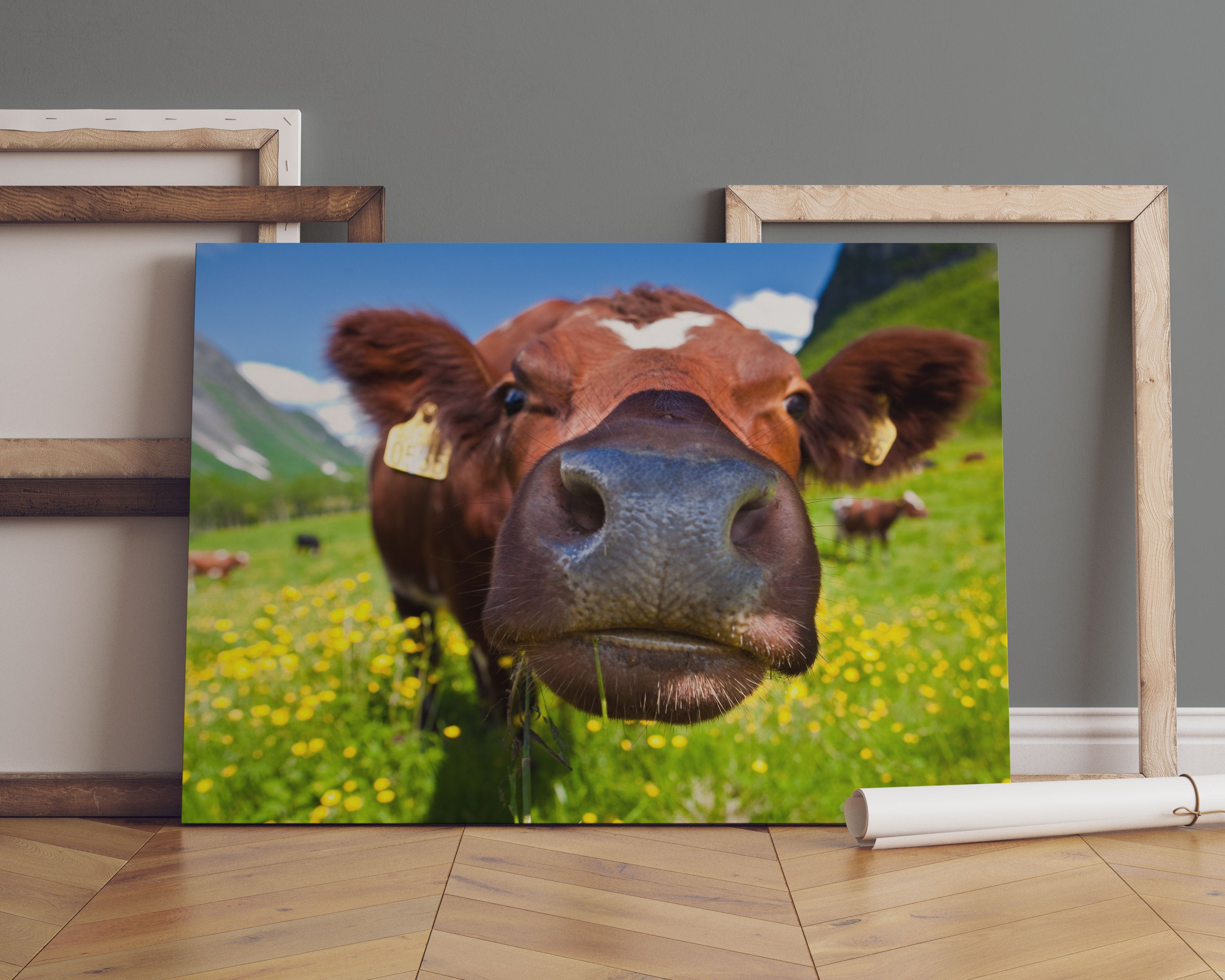 Alpen Kuh auf Bergwiese Leinwandbild Sofa