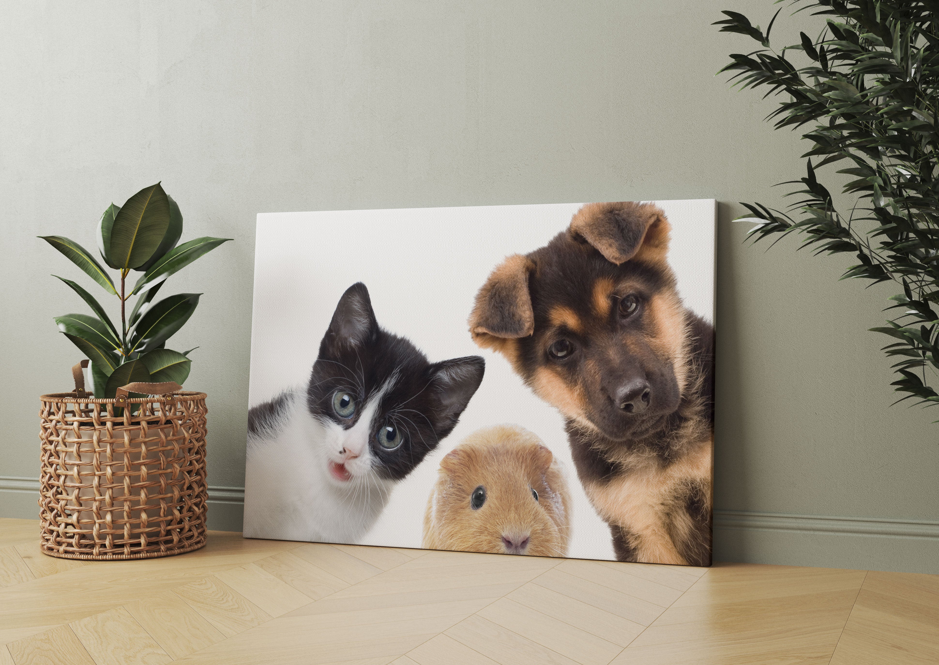 Trio Hund Katze Meerschwein Leinwandbild Wohnzimmer