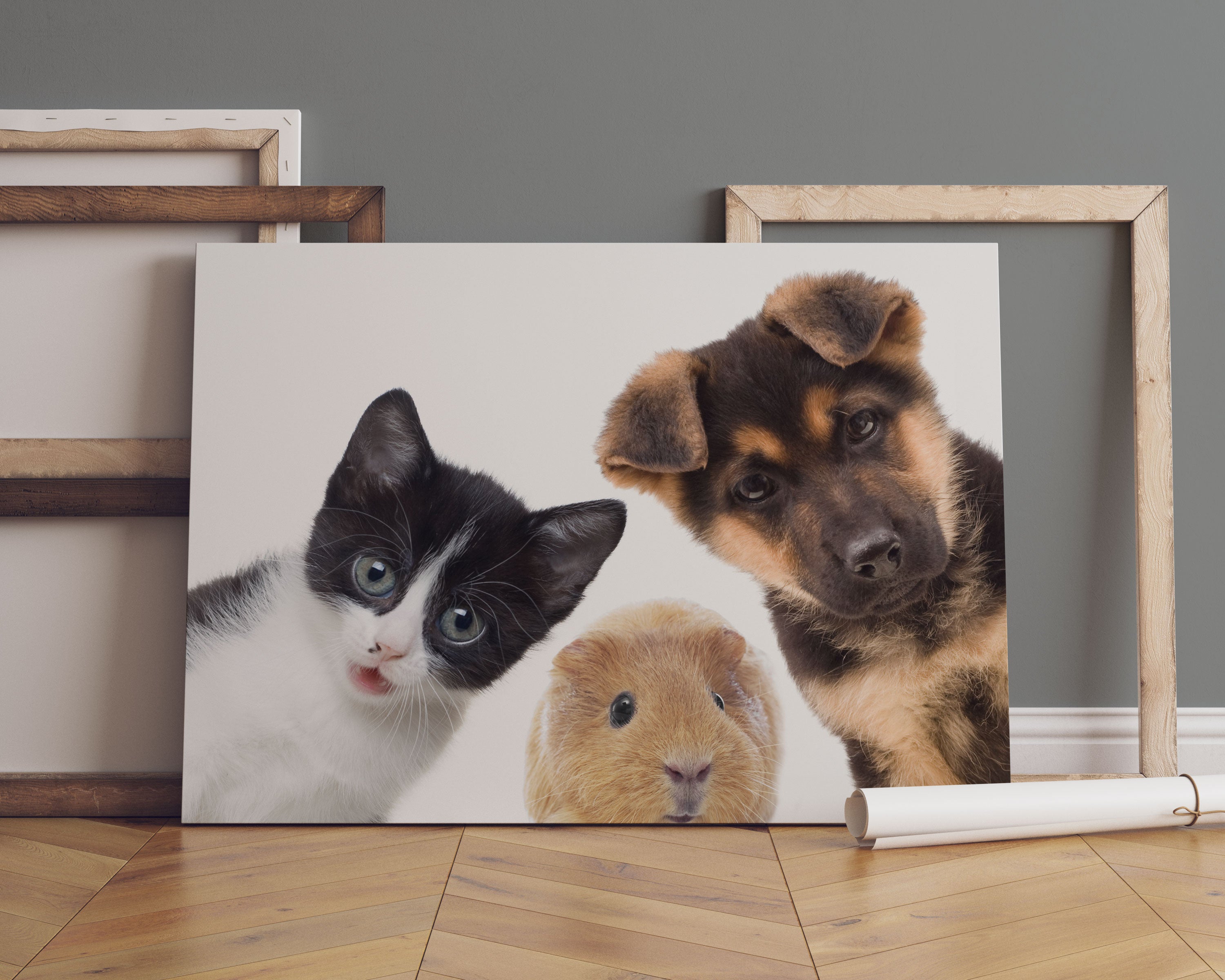 Trio Hund Katze Meerschwein Leinwandbild Sofa