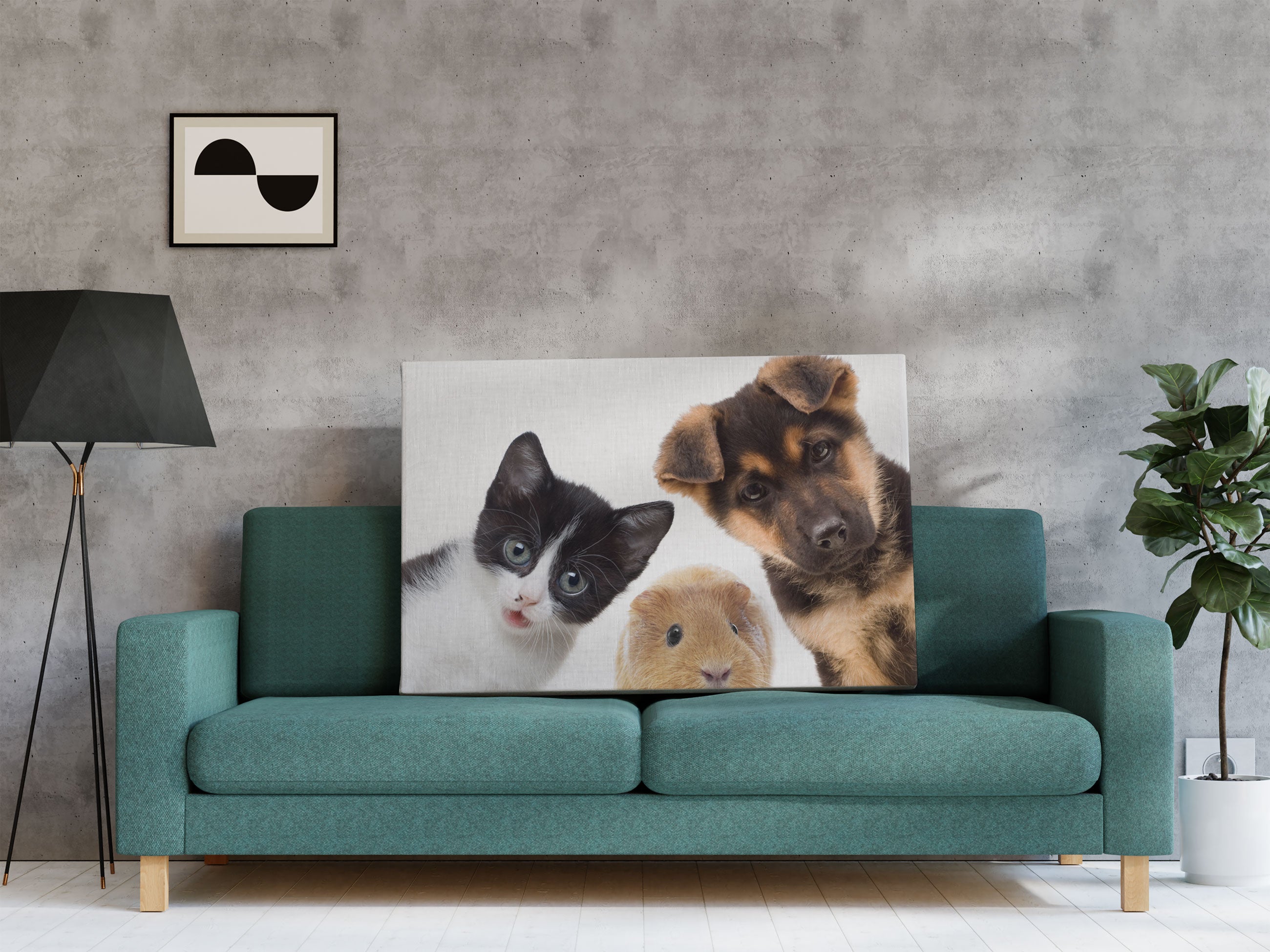 Trio Hund Katze Meerschwein Leinwandbild Regal