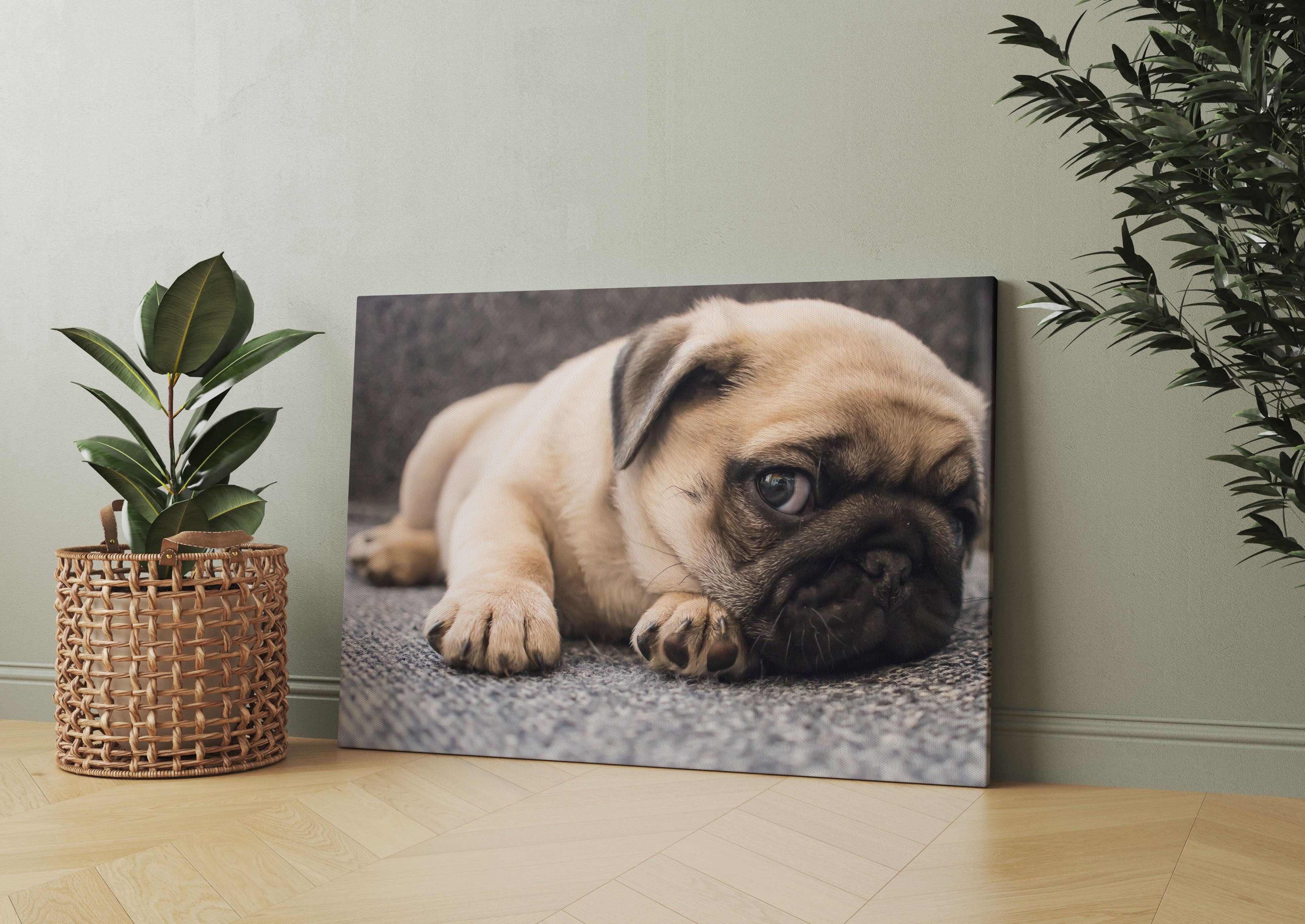 Süßer Mops auf Teppich Leinwandbild Wohnzimmer