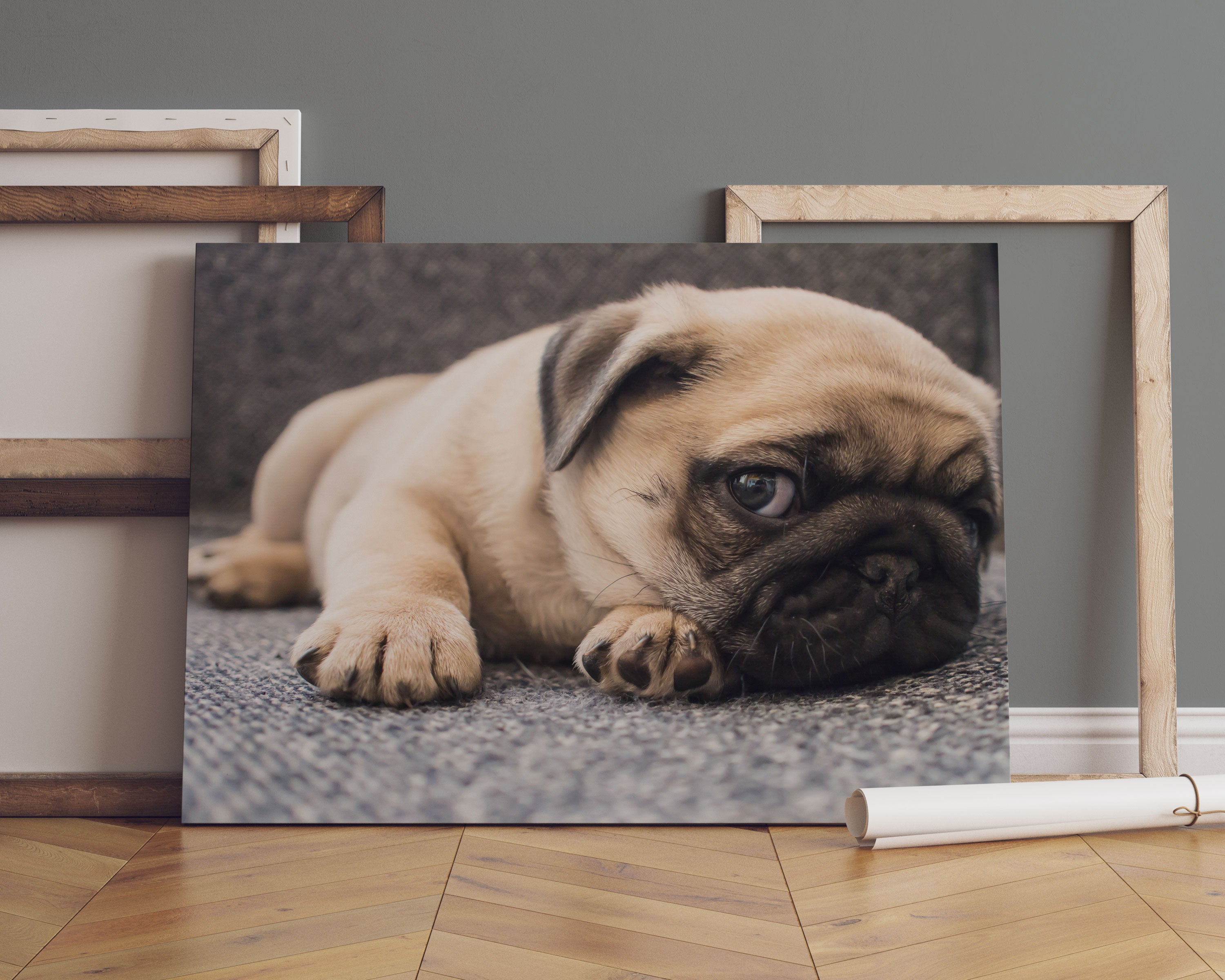 Süßer Mops auf Teppich Leinwandbild Sofa