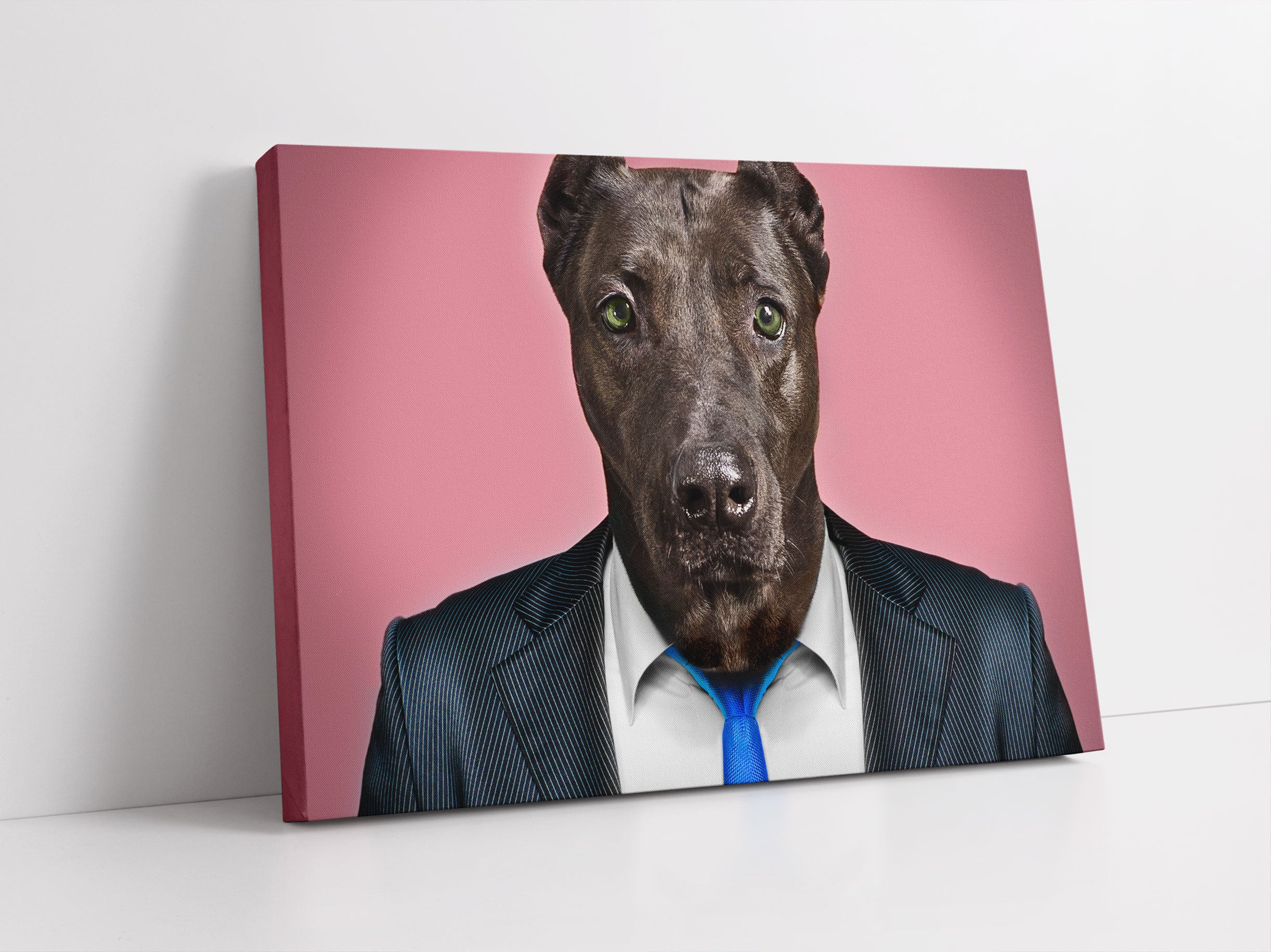 Manager Hund mit Anzug Leinwandbild Studio