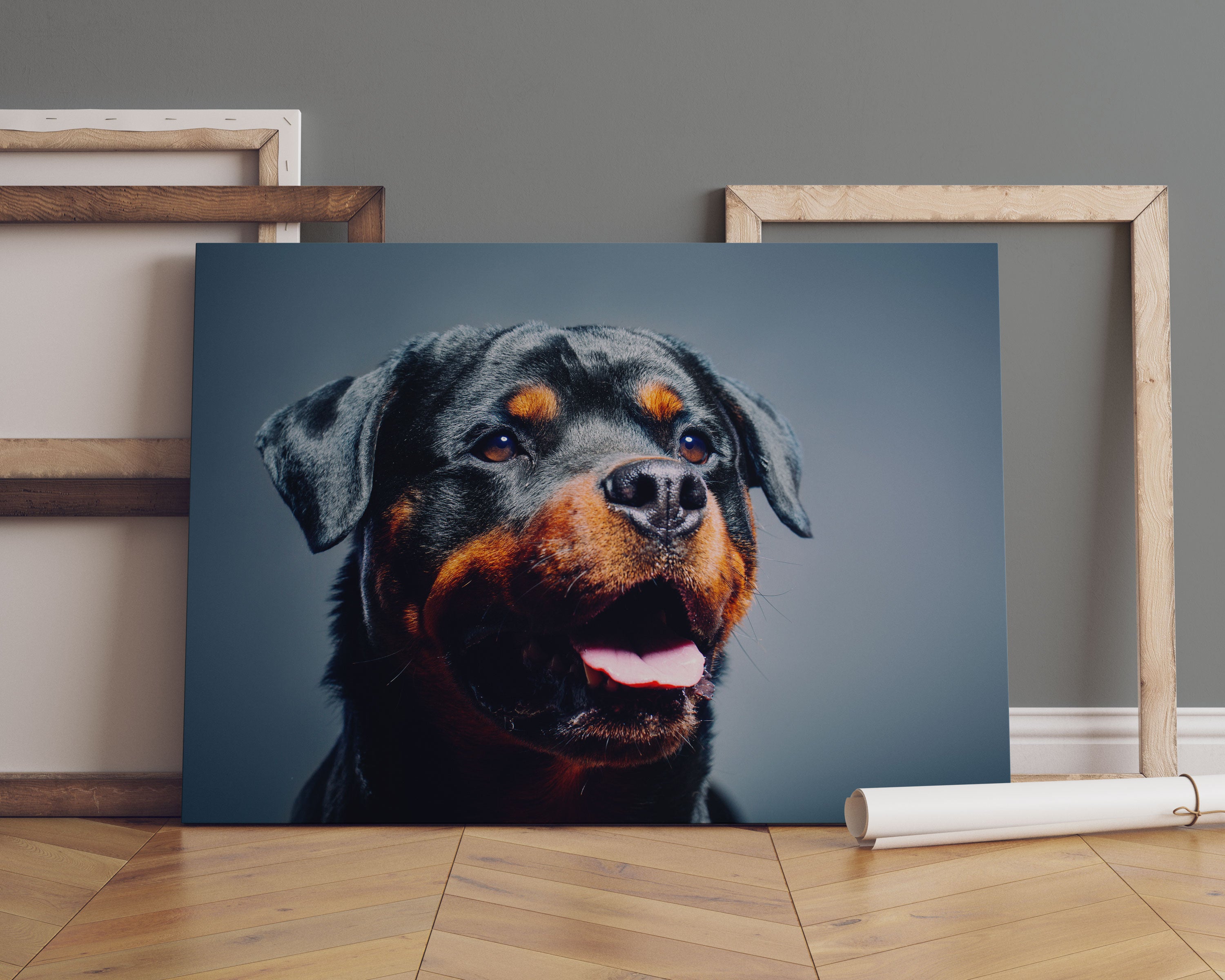 Treuer Rottweiler Leinwandbild Sofa