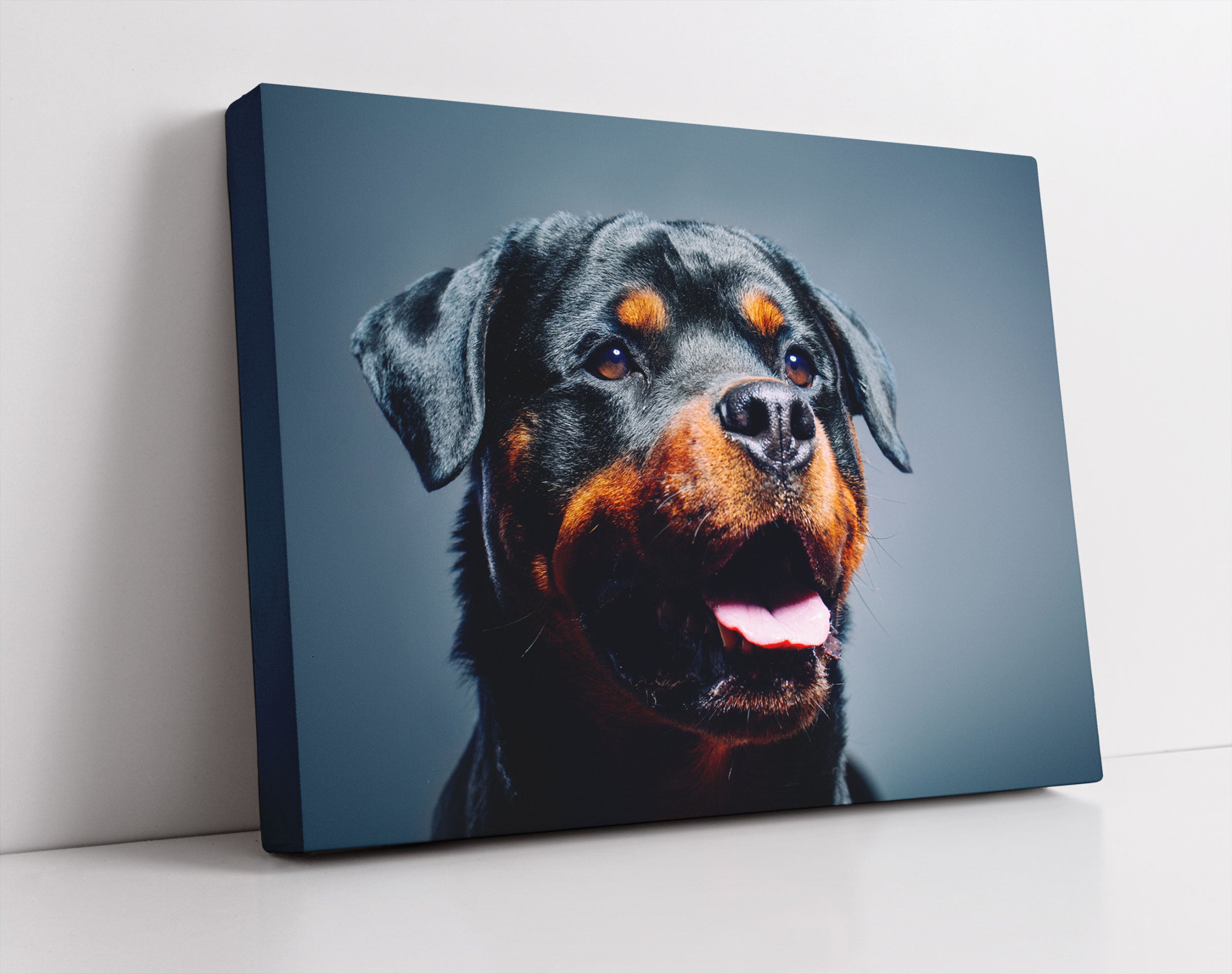 Treuer Rottweiler - Leinwandbild