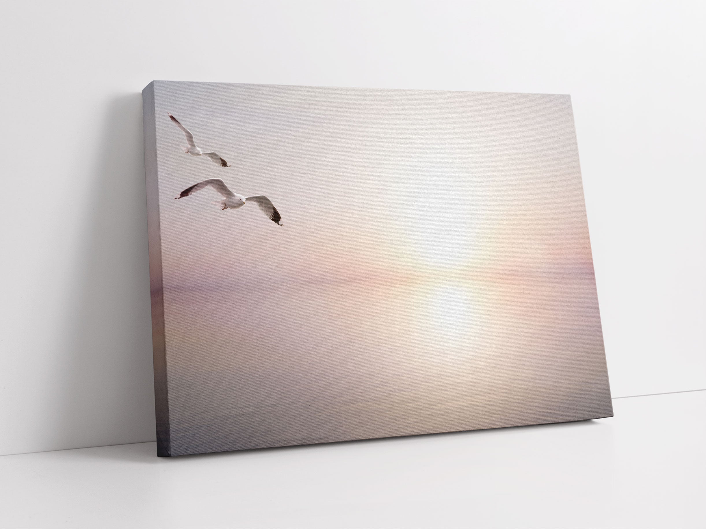 Möwen am Meer bei Sonnenaufgang Leinwandbild Studio