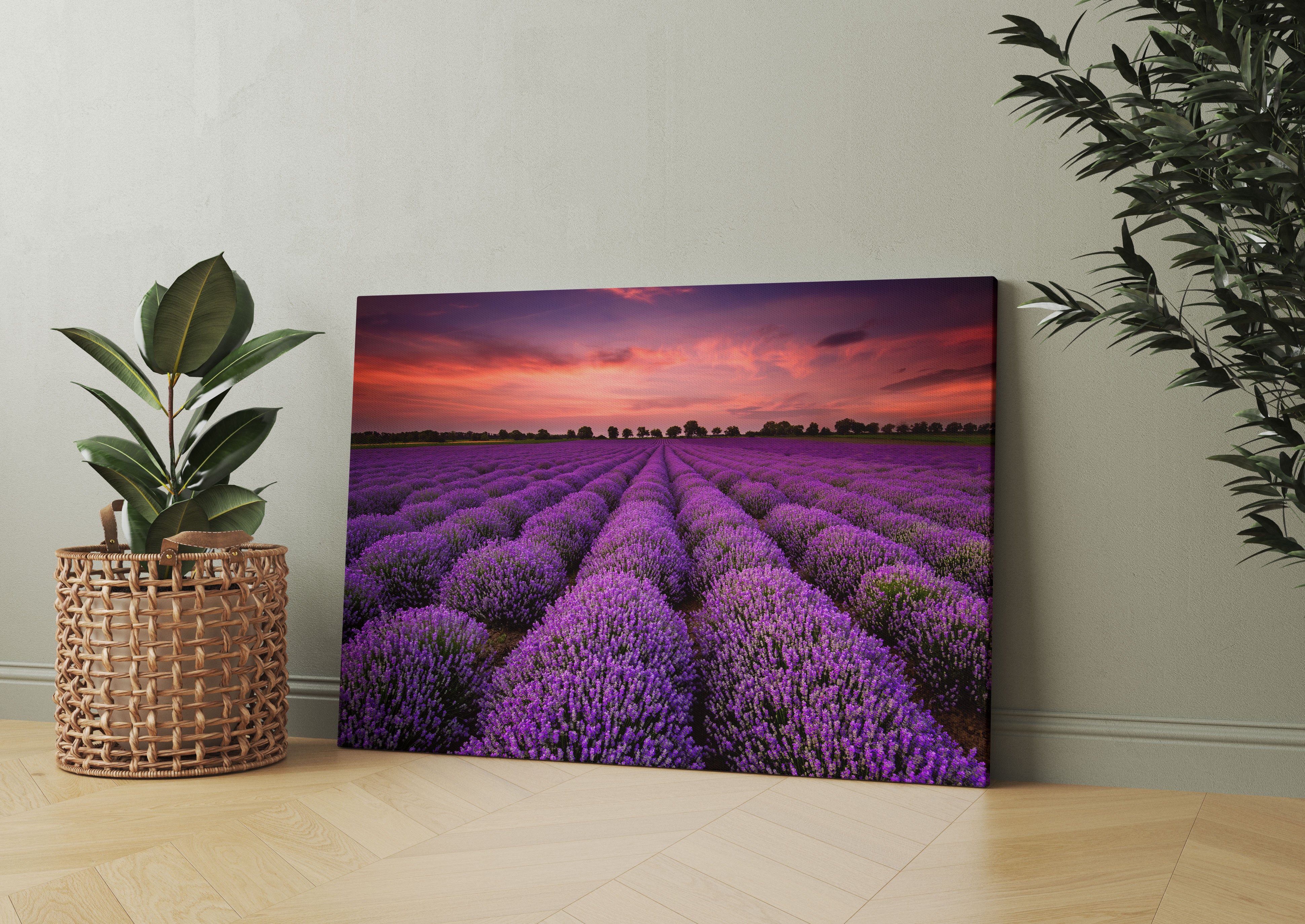 Wunderschöne Lavendel Provence Leinwandbild Wohnzimmer