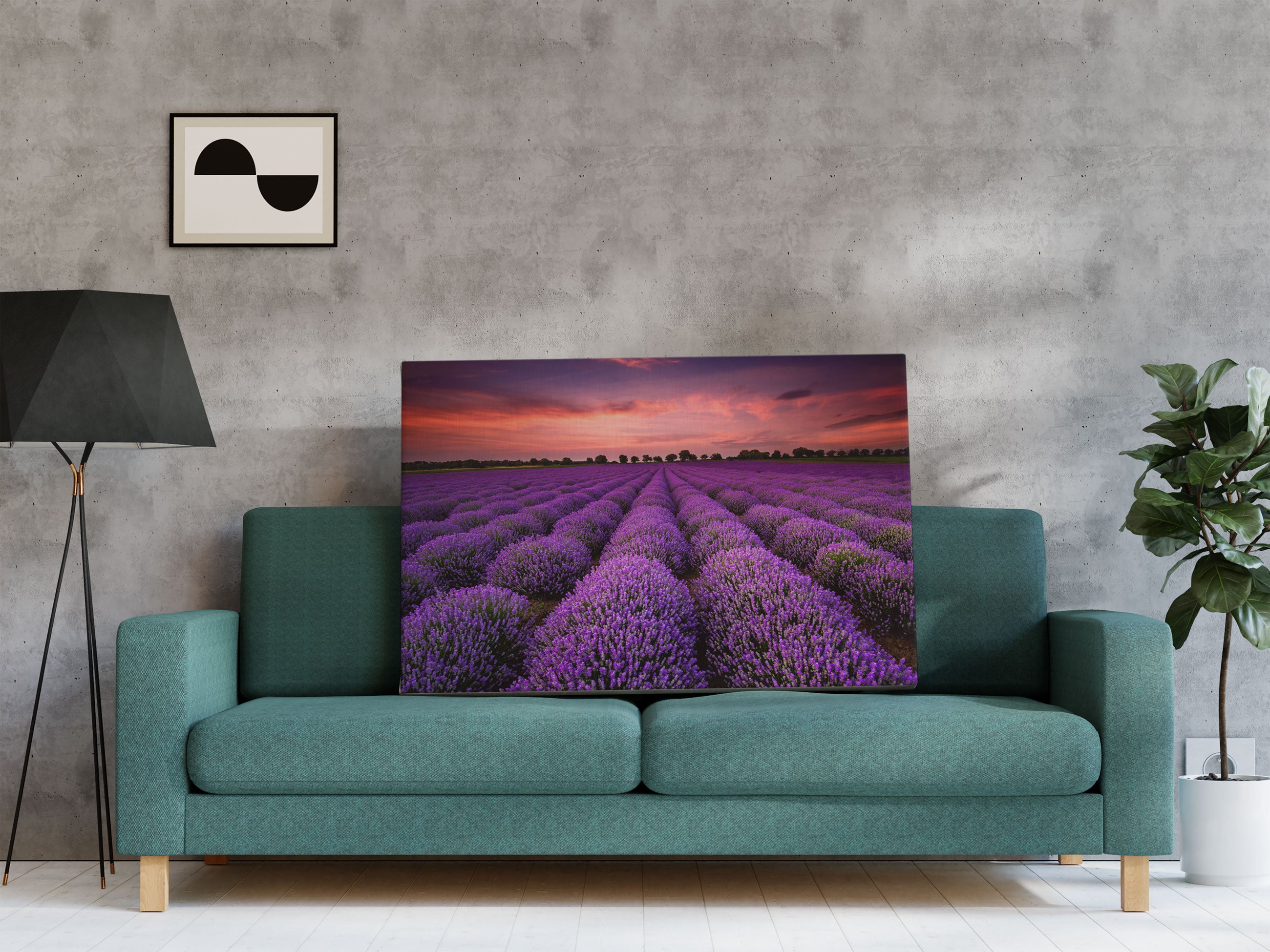 Wunderschöne Lavendel Provence Leinwandbild Regal