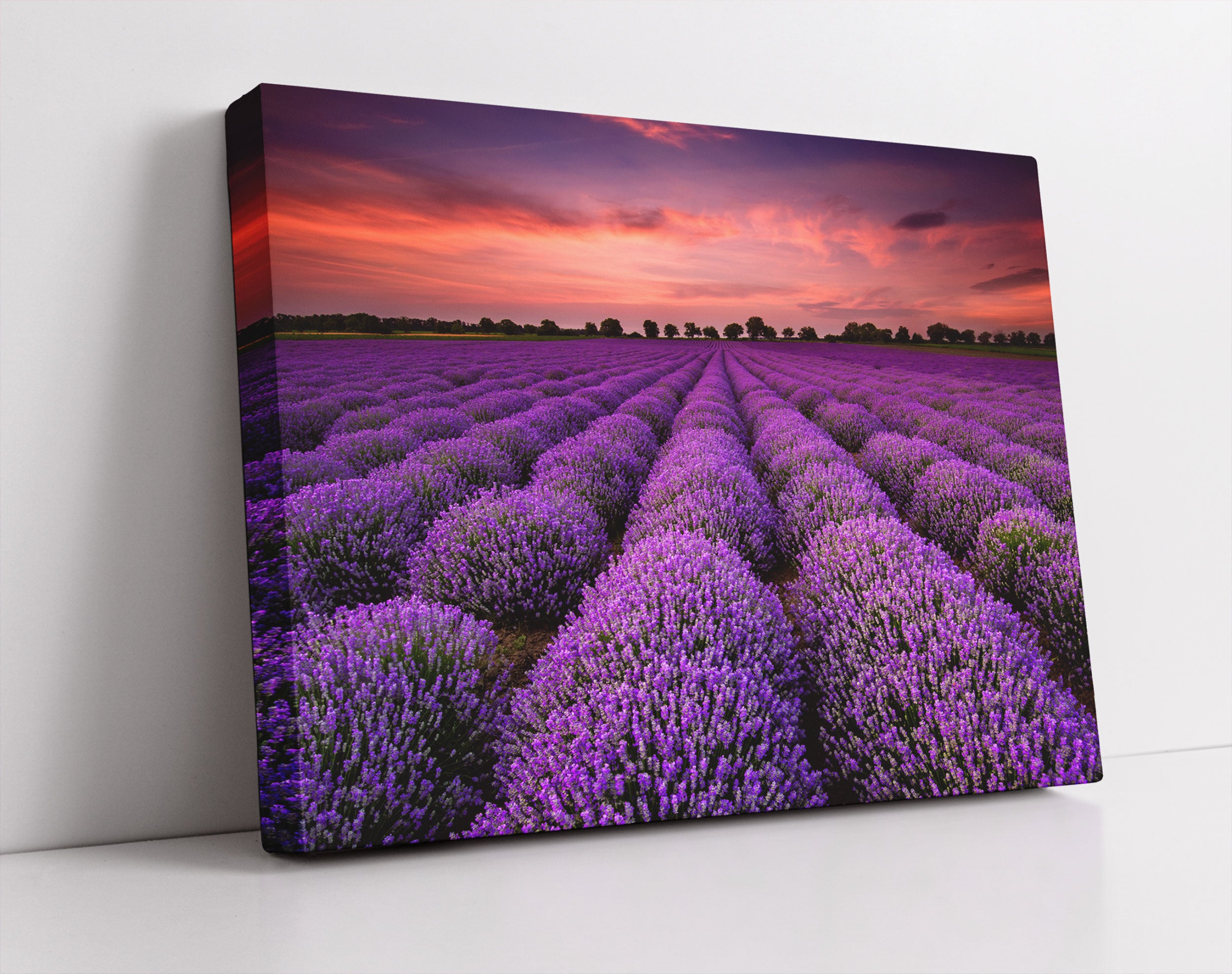 Wunderschöne Lavendel Provence - Leinwandbild