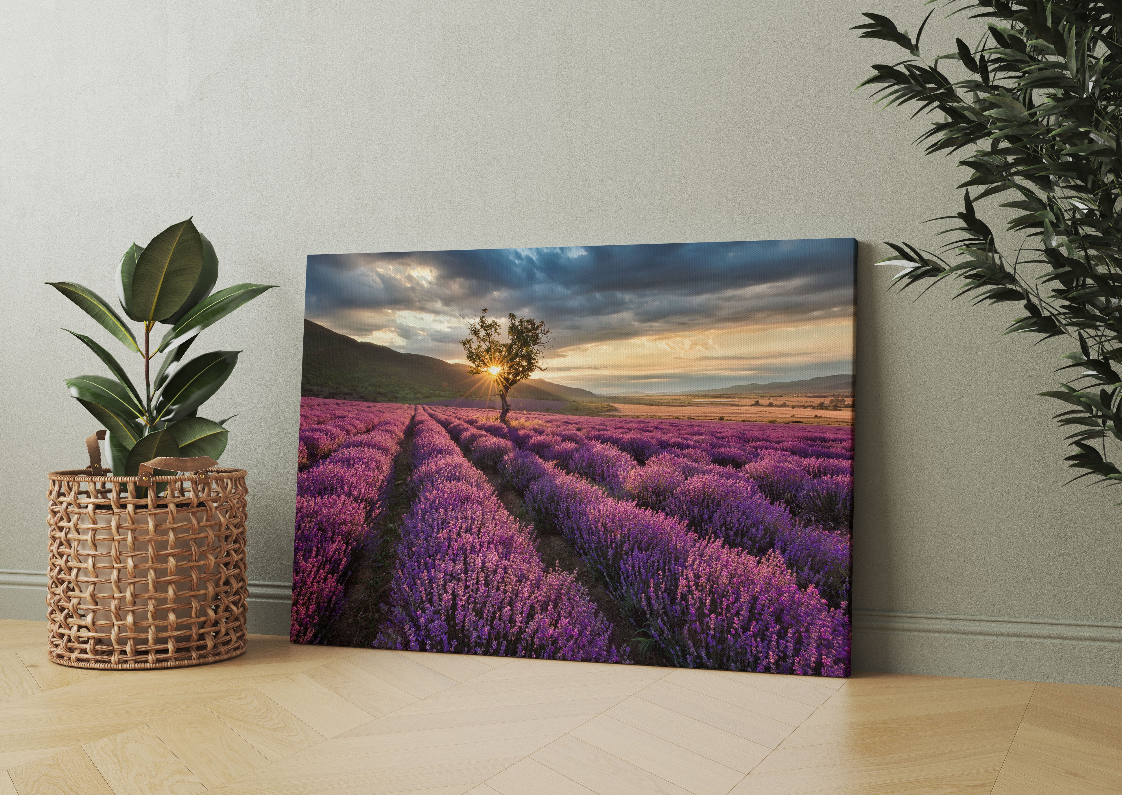 Lavendel Provence mit Baum Leinwandbild Wohnzimmer