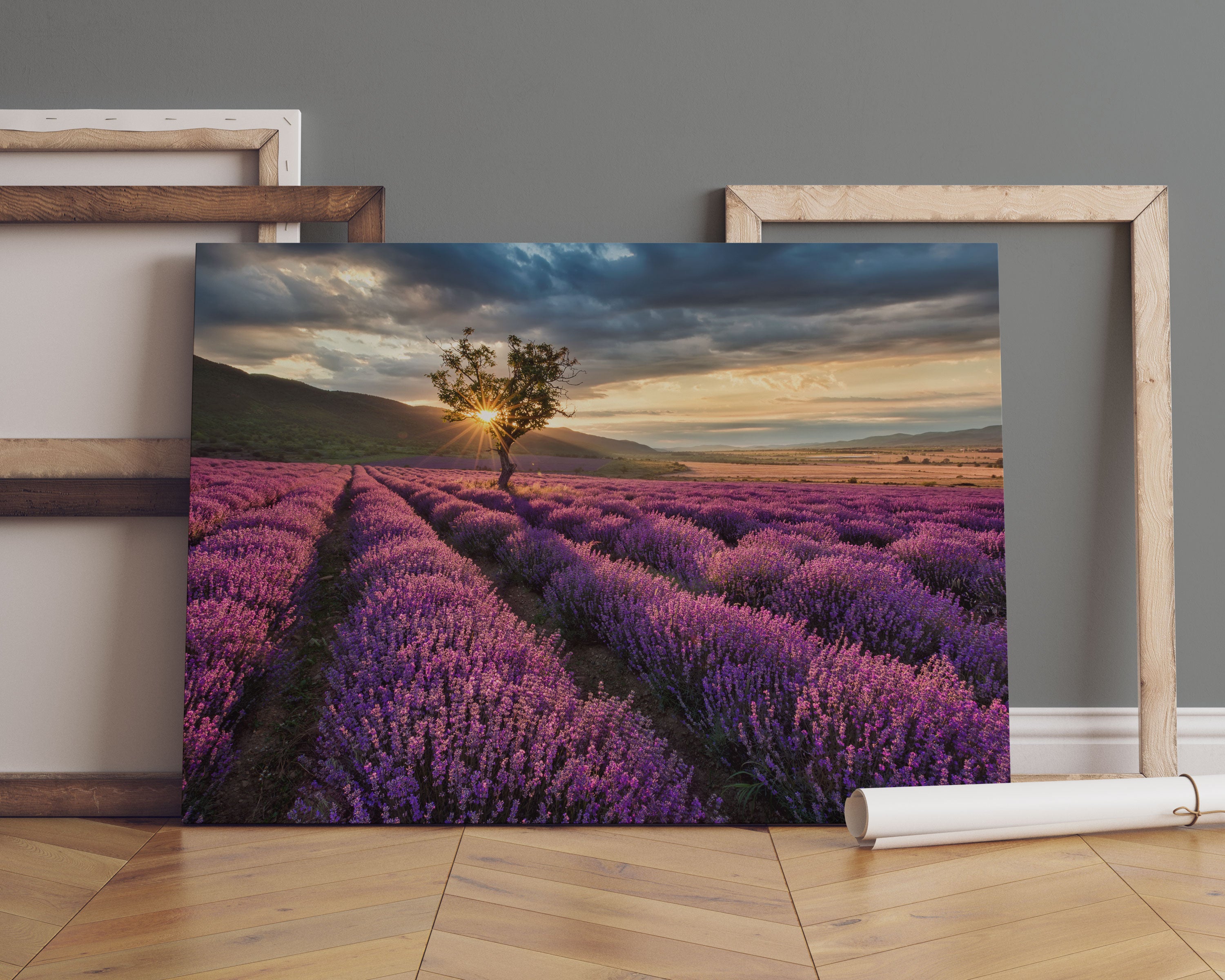 Lavendel Provence mit Baum Leinwandbild Sofa