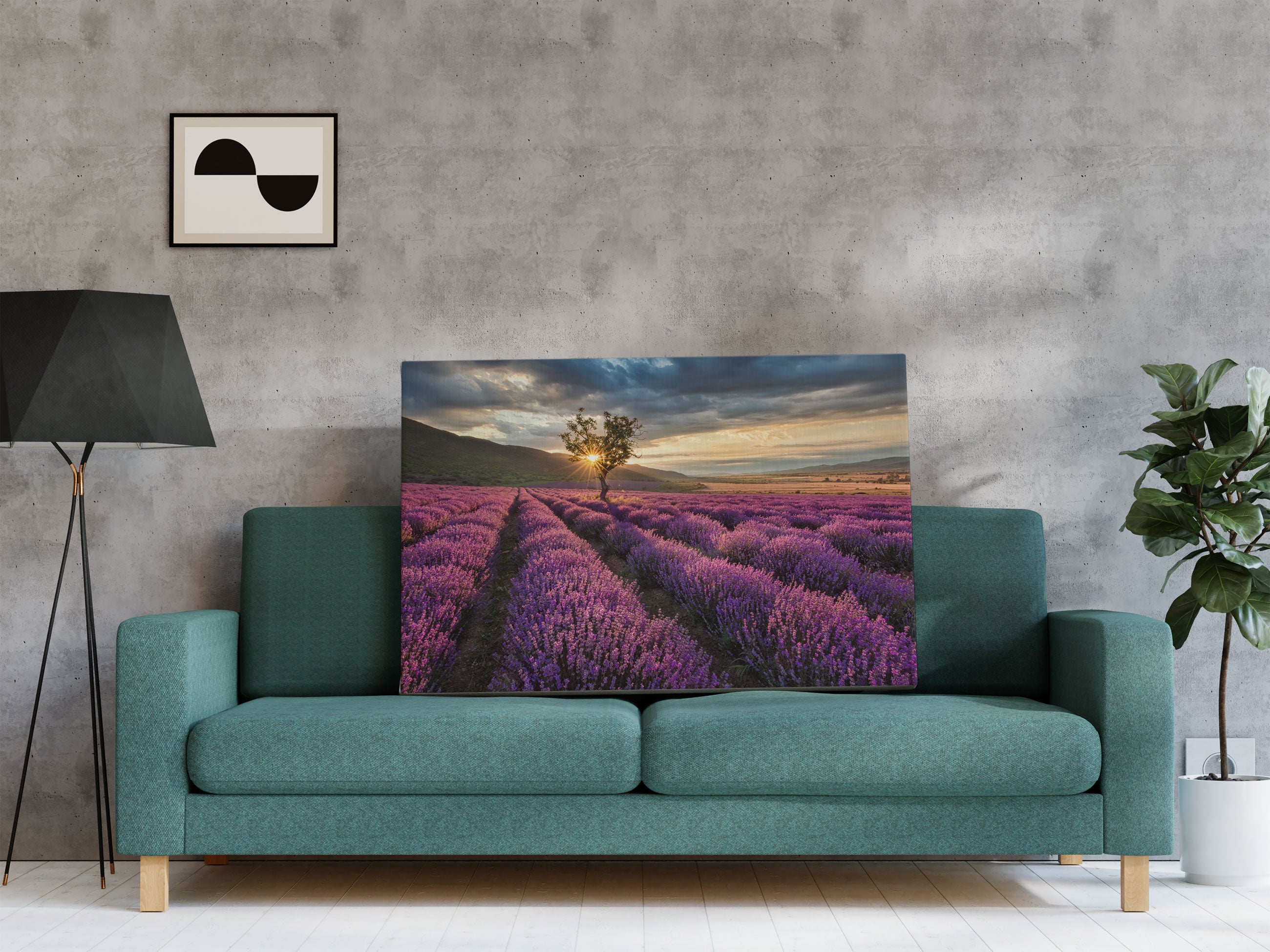 Lavendel Provence mit Baum Leinwandbild Regal