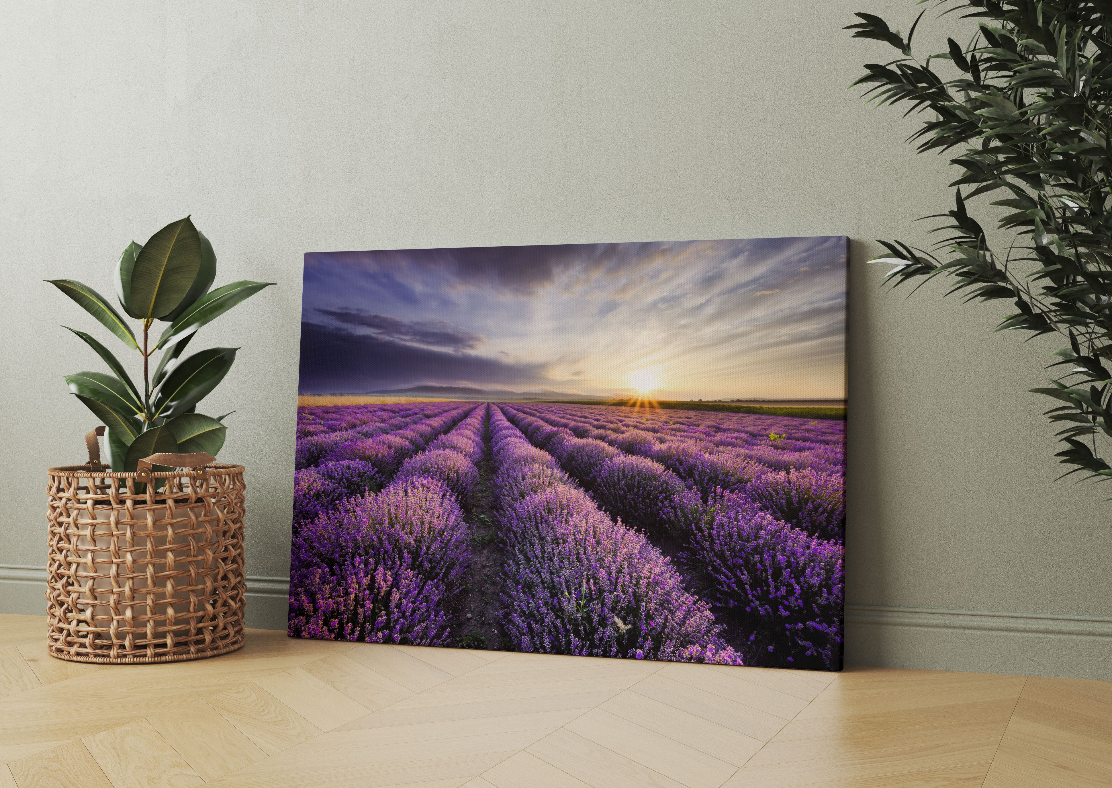 Traumhafte Lavendel Provence Leinwandbild Wohnzimmer