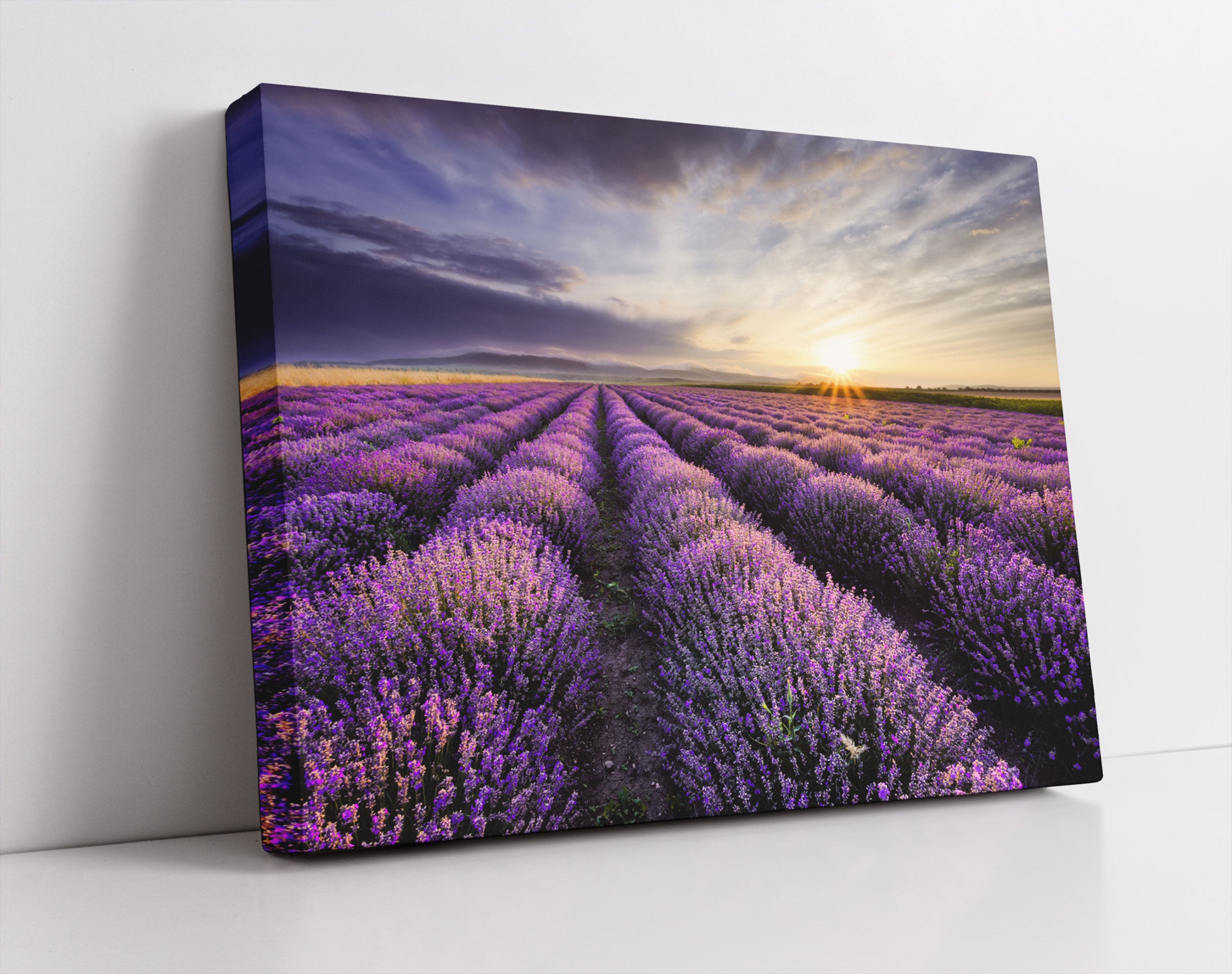 Traumhafte Lavendel Provence - Leinwandbild