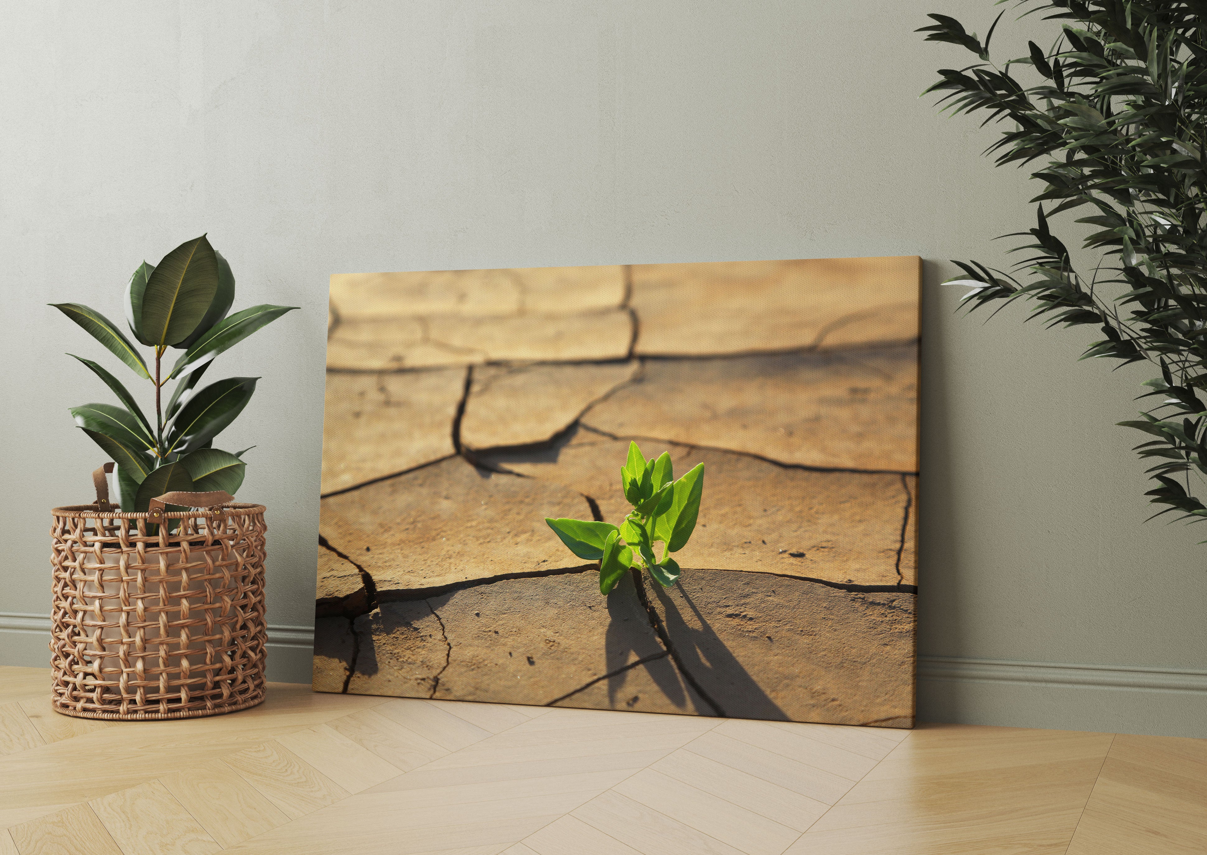 Keimling in ausgetrocknetem Boden Leinwandbild Wohnzimmer