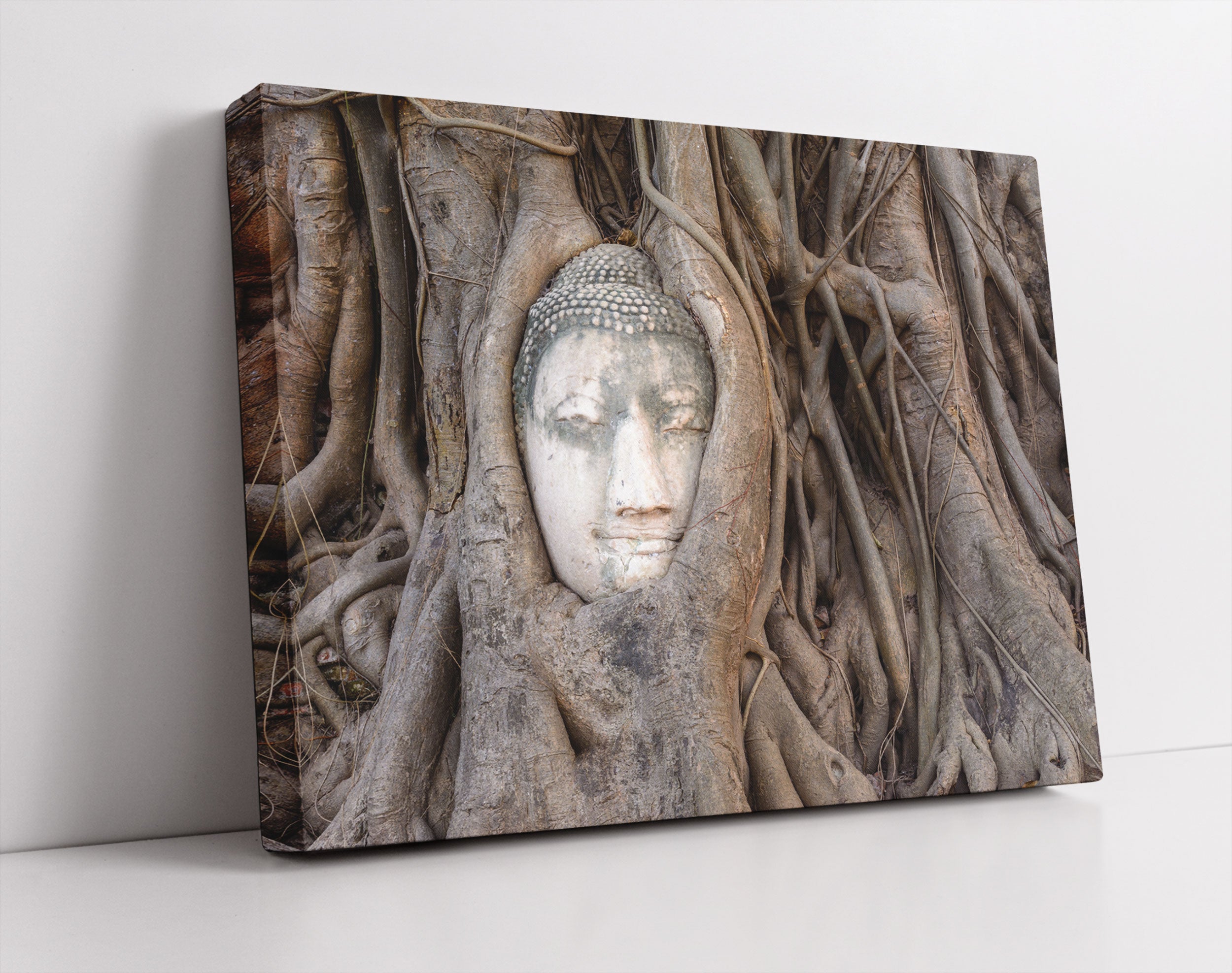 Buddha Kopf im Baum - Leinwandbild