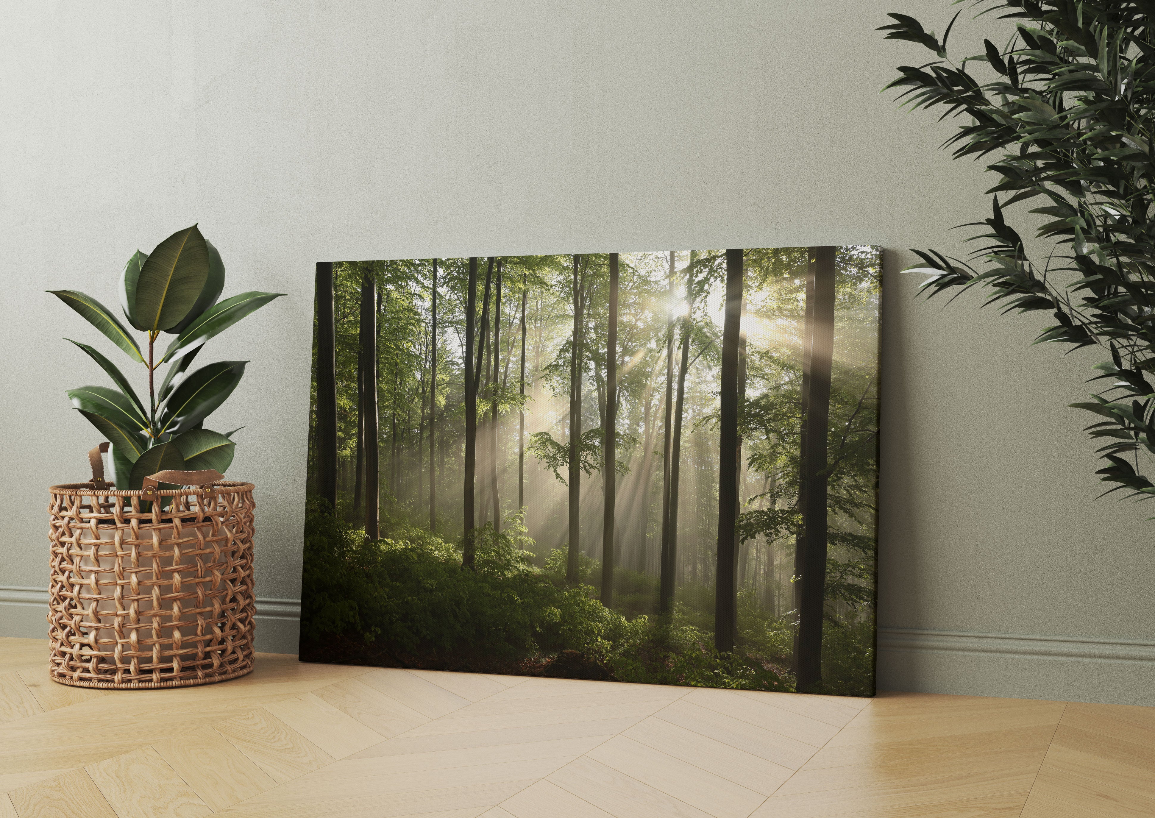 Sonnenstrahlen im Wald Leinwandbild Wohnzimmer