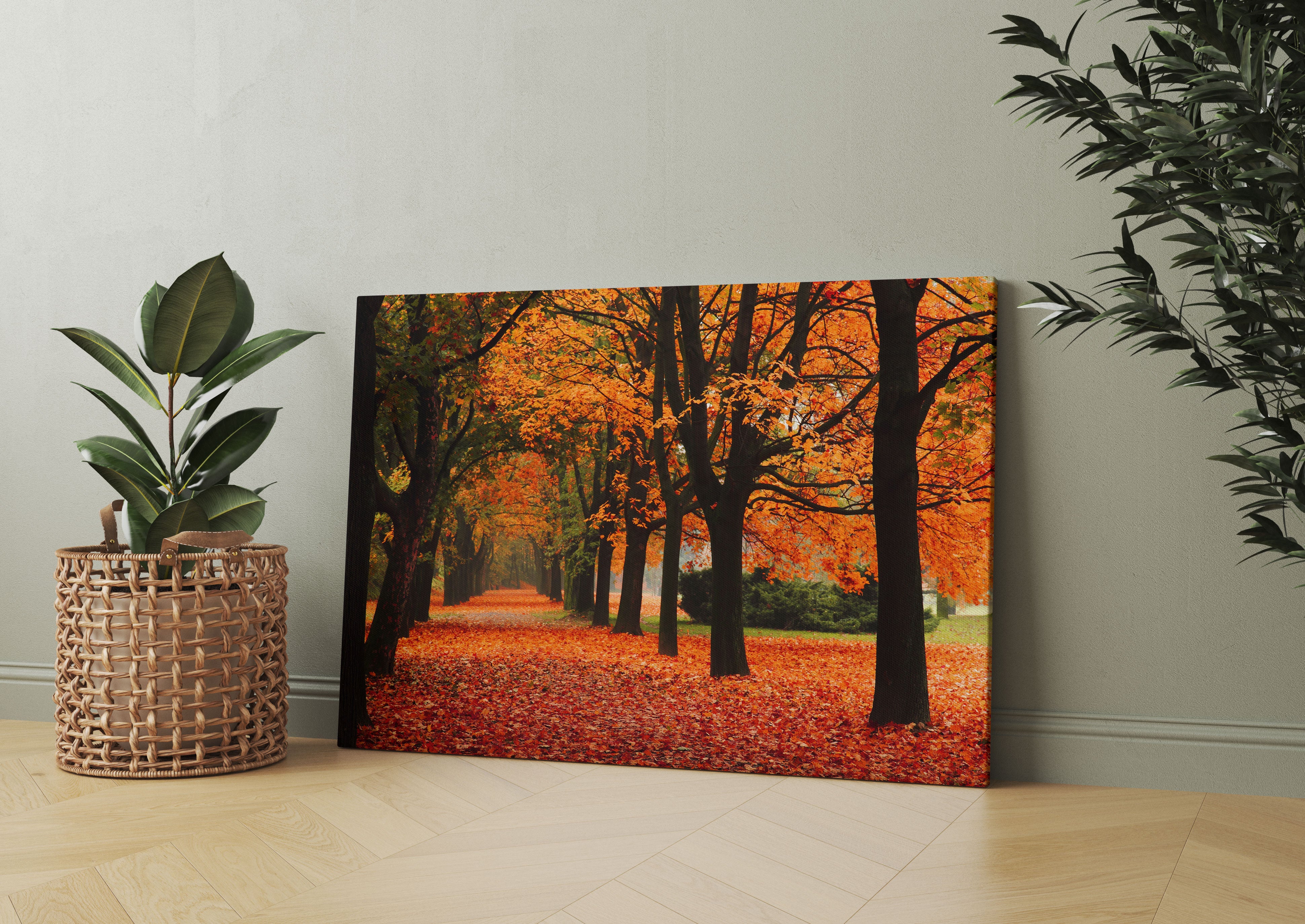 Baumallee im Herbst Leinwandbild Wohnzimmer